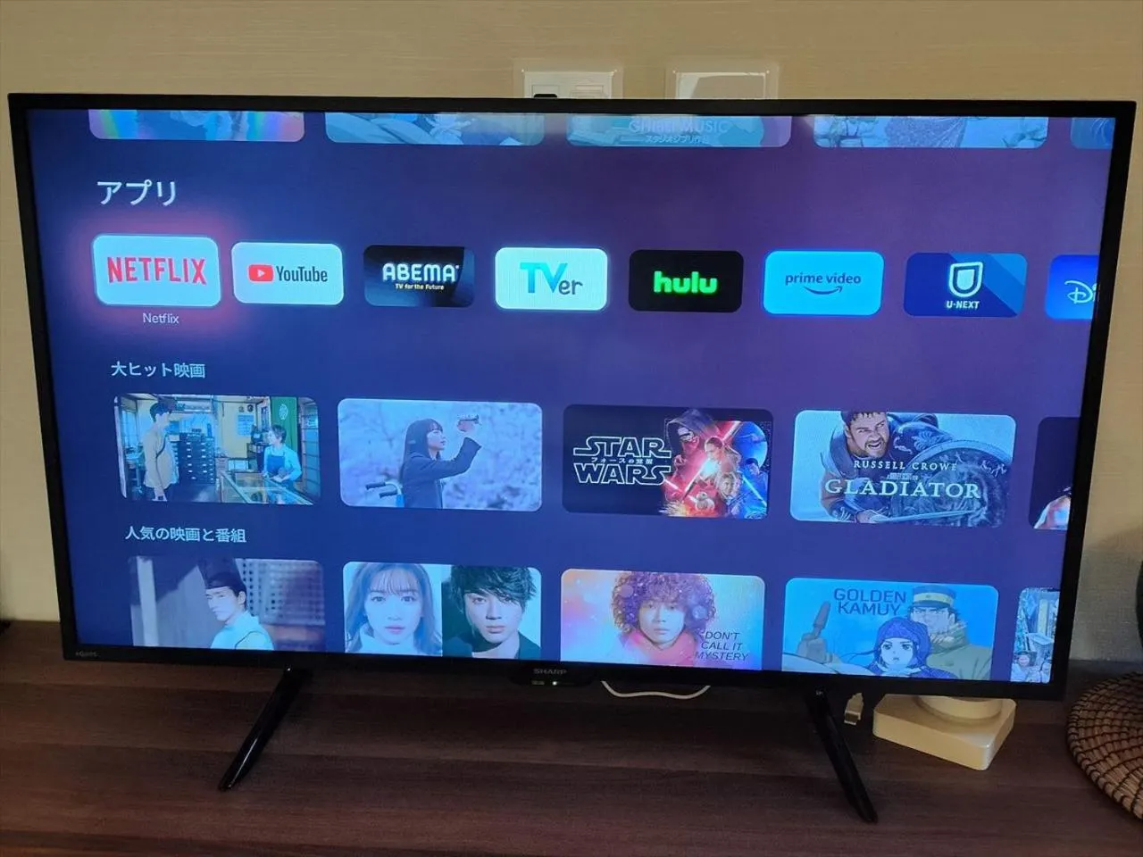 TV and multimedia in YADOYA Negishi