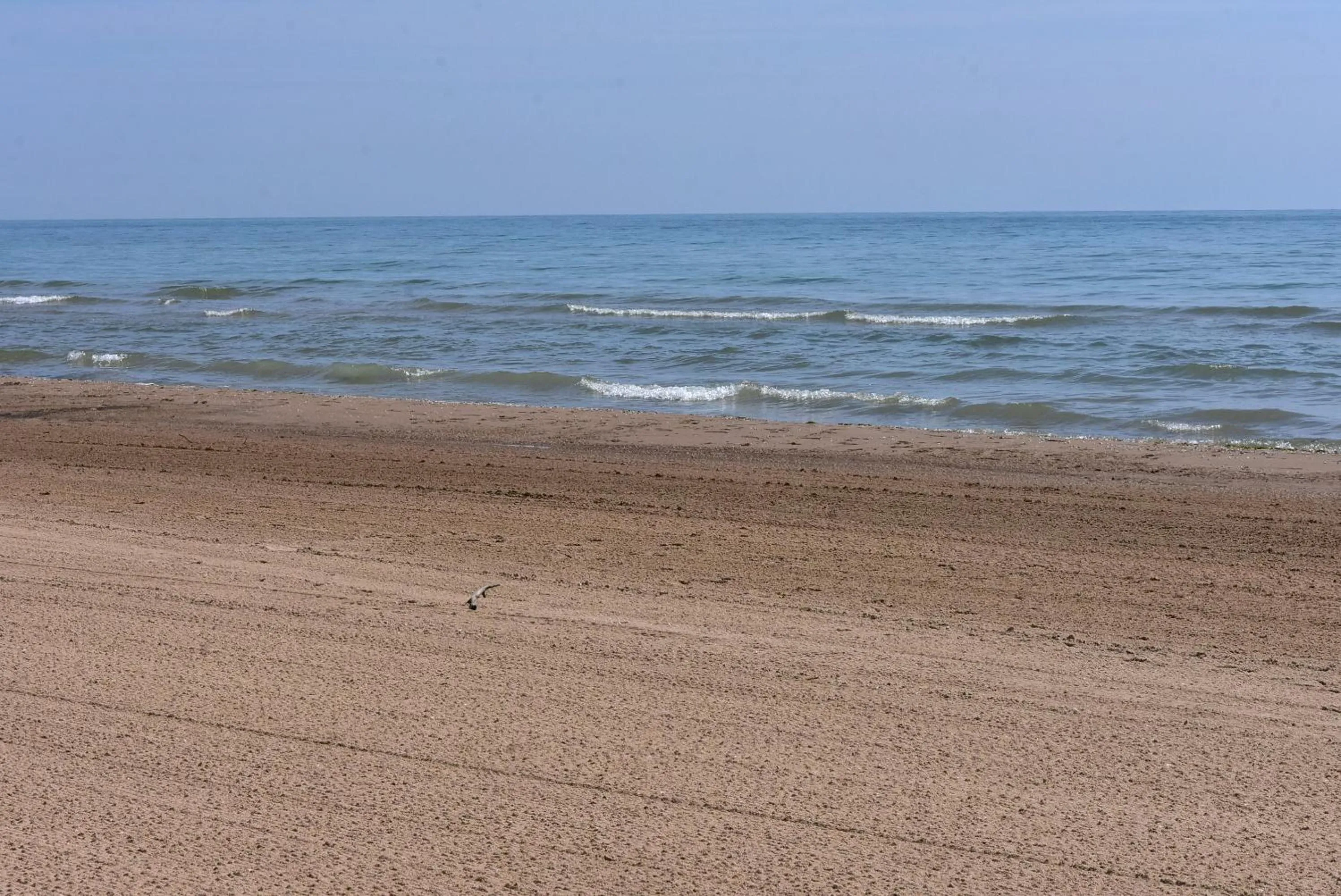 Beach in Sunrise Beach Oscoda @ Surfside