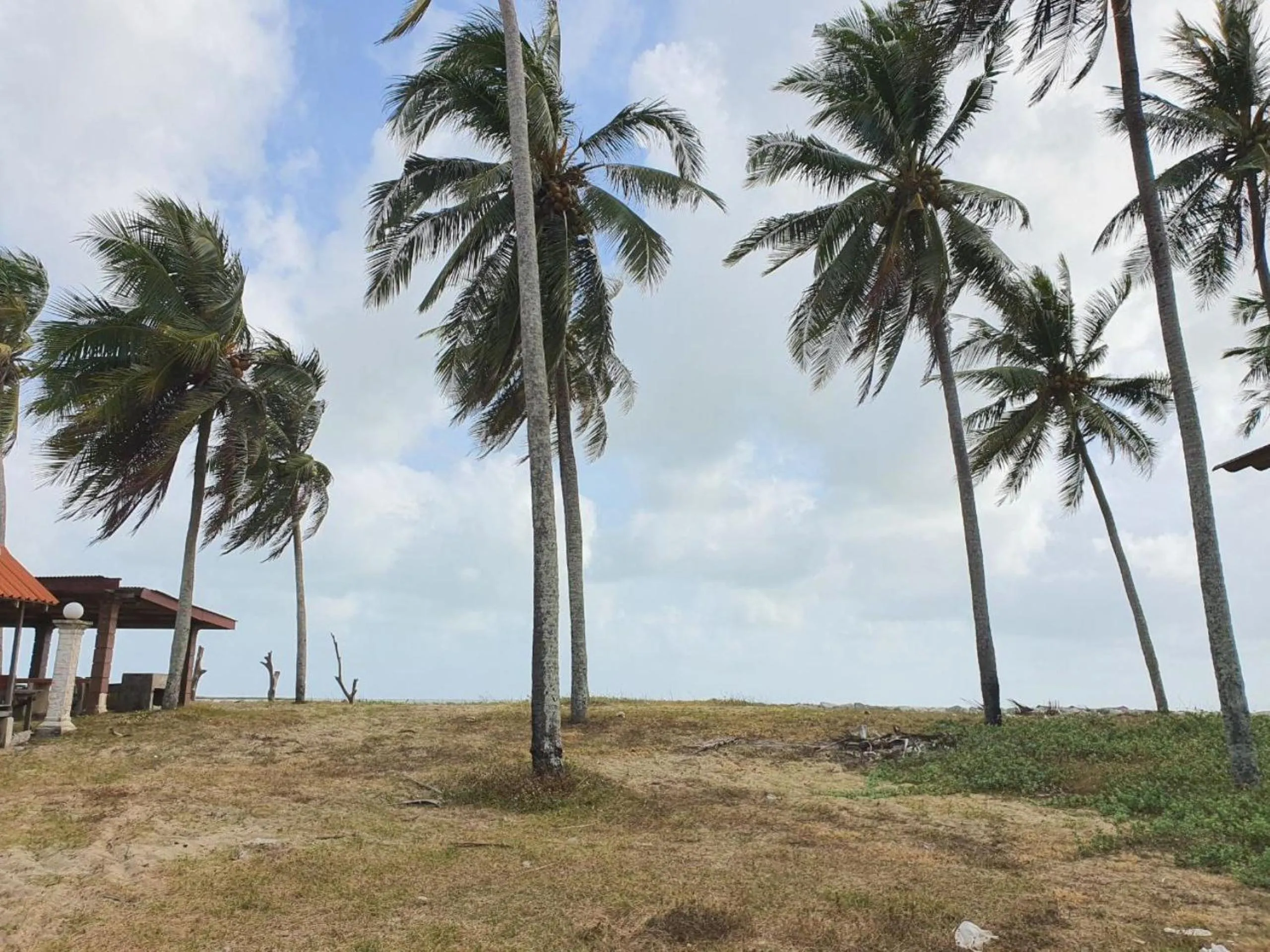 Garden in Hotel O Bayu Chalet
