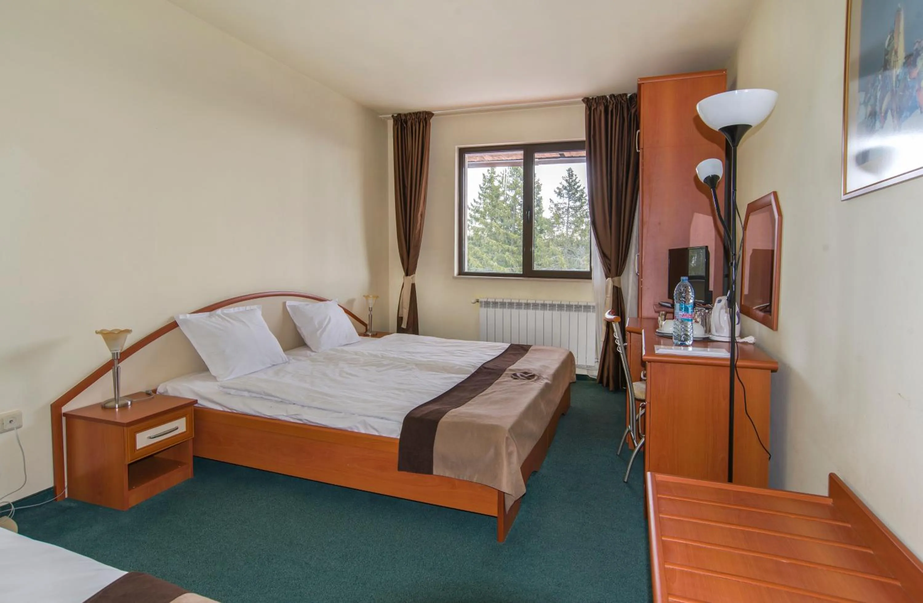 Bed in Kamena Pamporovo