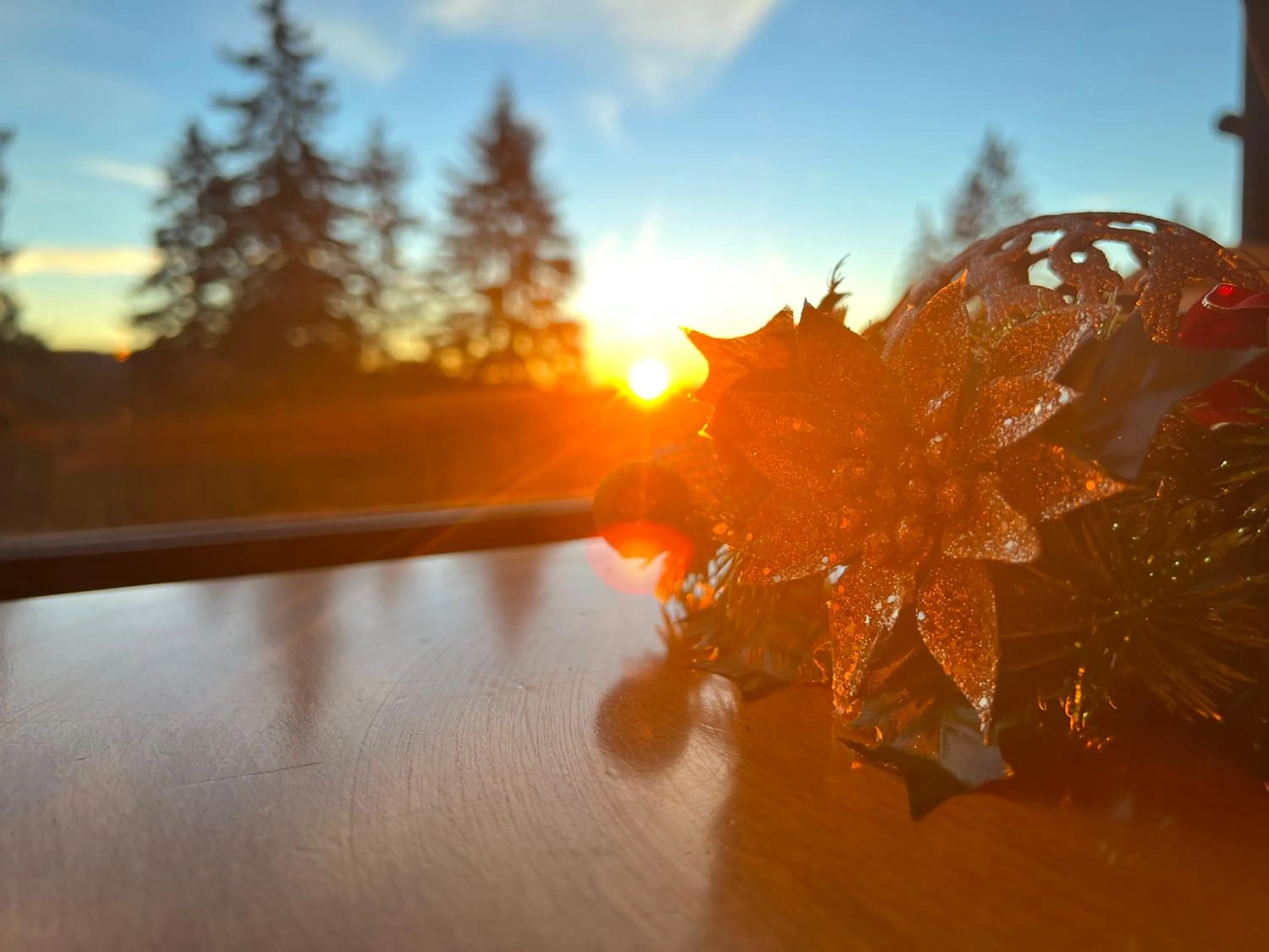 Natural landscape in Kamena Pamporovo