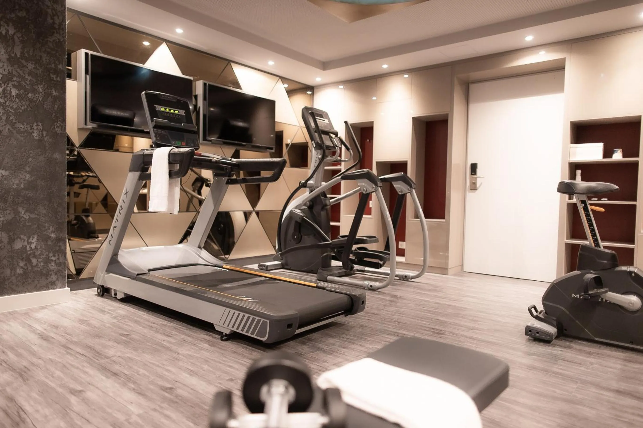 Fitness centre/facilities in PLAZA Premium Heidelberg