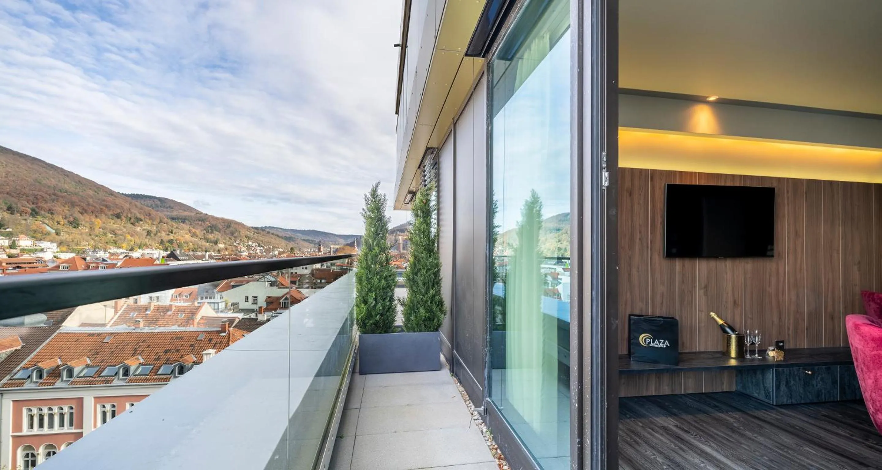 View (from property/room) in PLAZA Premium Heidelberg