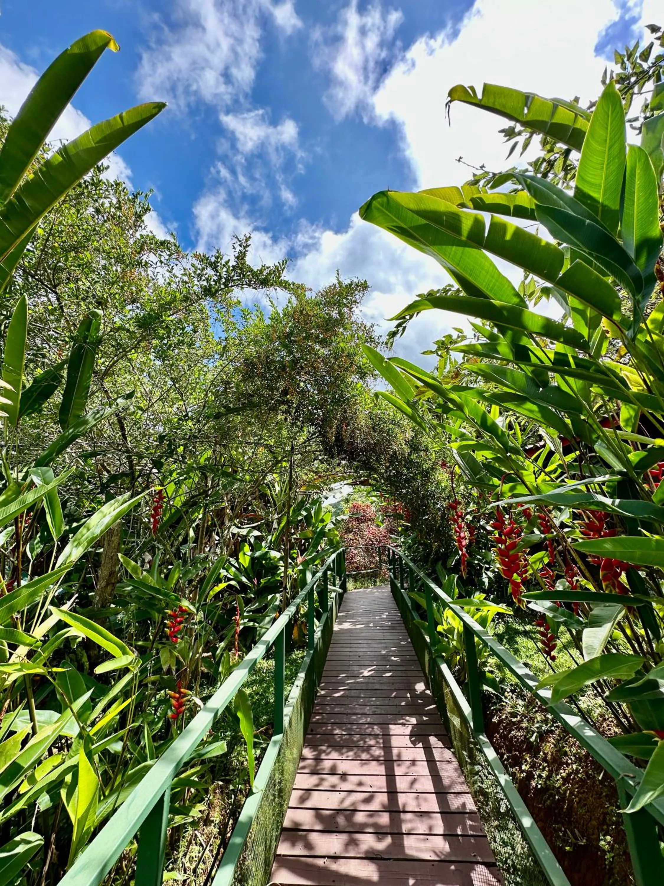 Hotel de Montaña El Pelicano