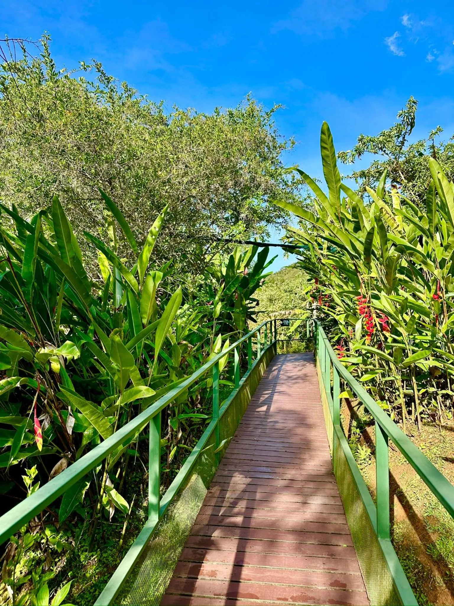 Hotel de Montaña El Pelicano