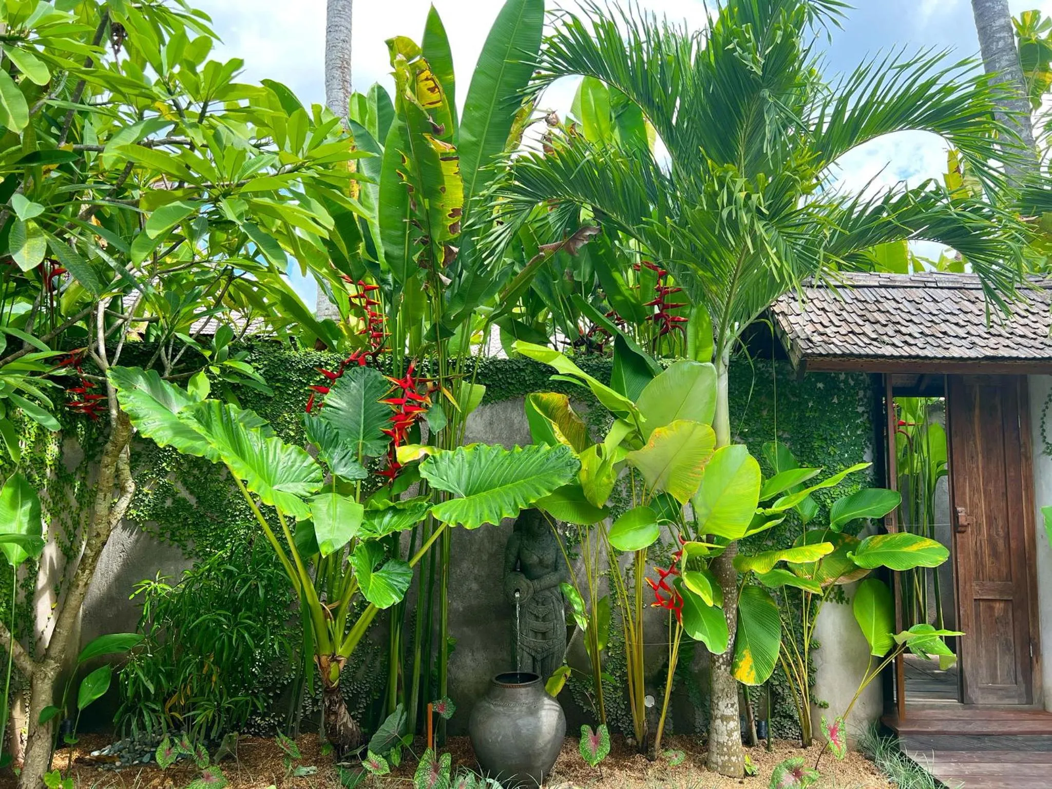 Garden in Jati Kuta Lombok