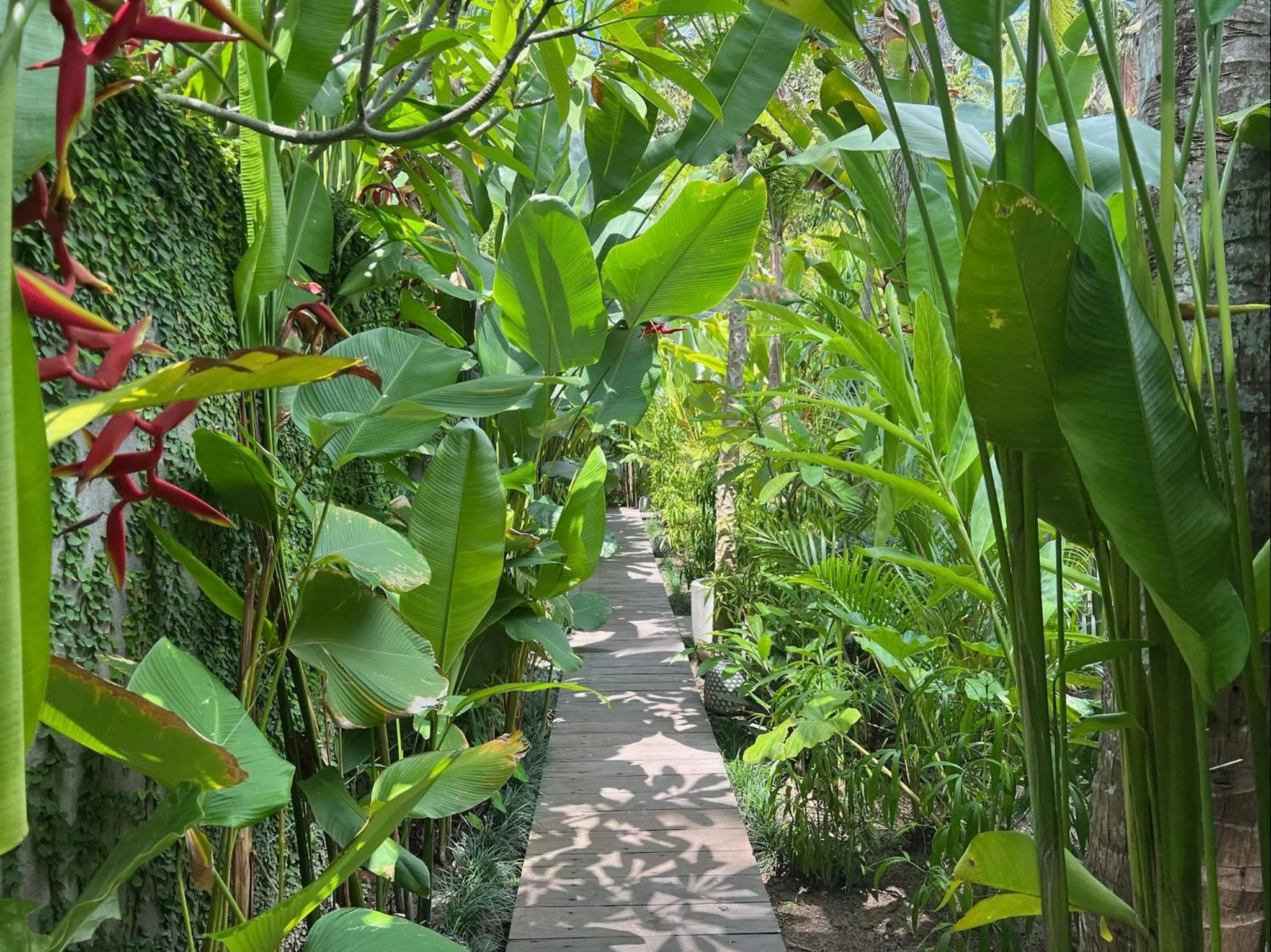 Garden in Jati Kuta Lombok
