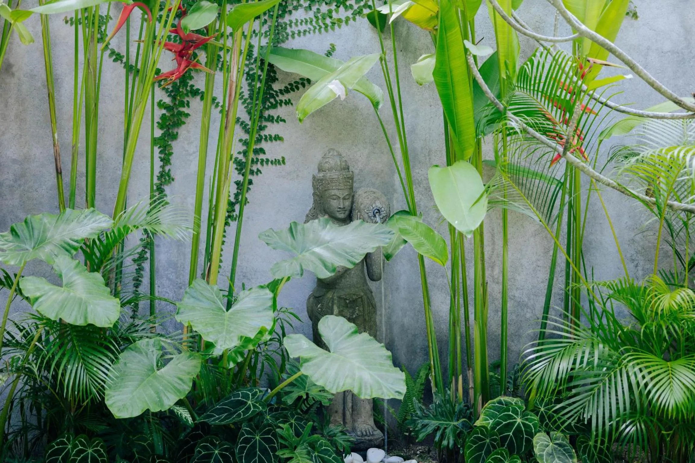 View (from property/room) in Jati Kuta Lombok