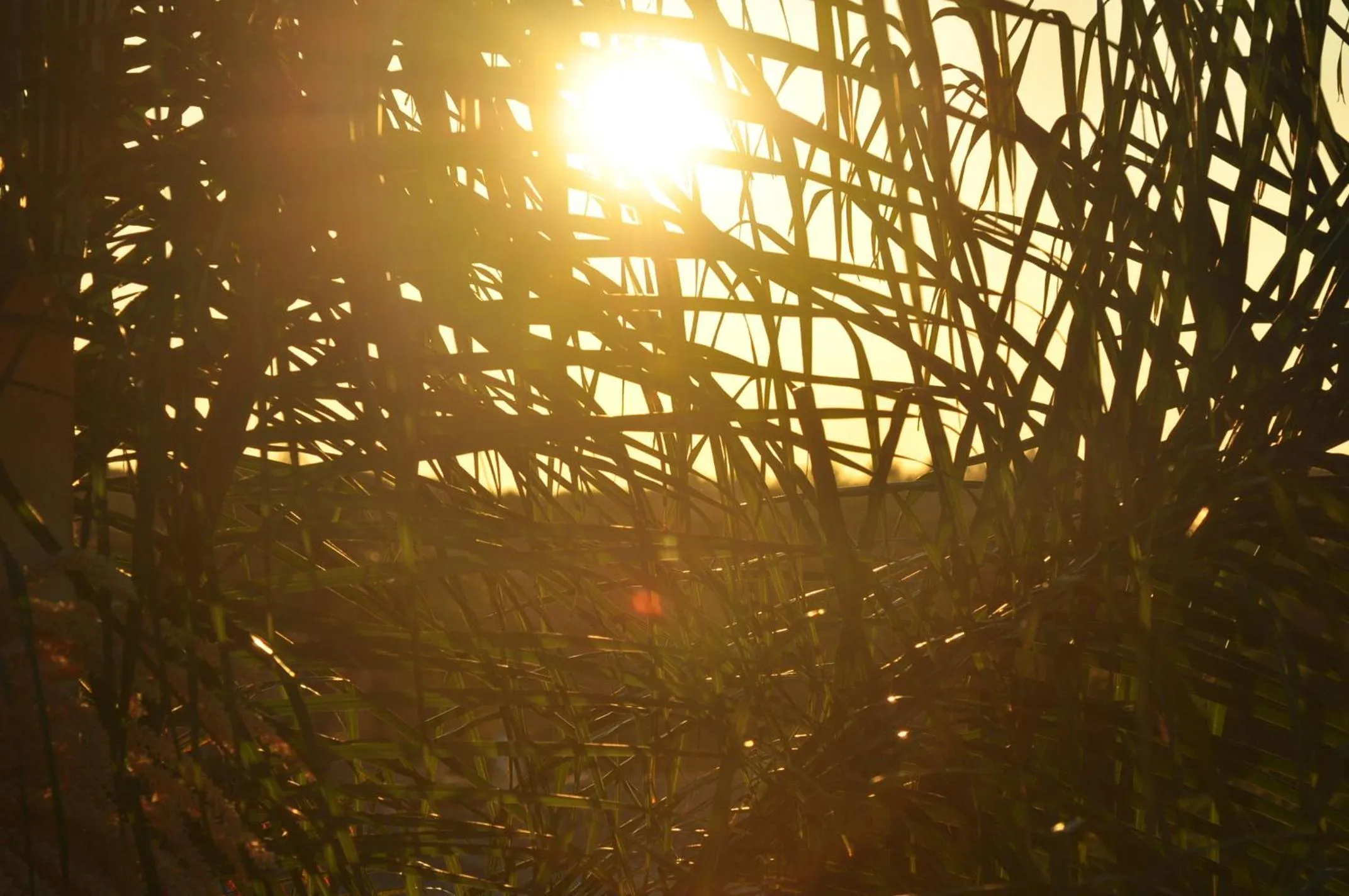 Property building in Casa Eleonora b&b