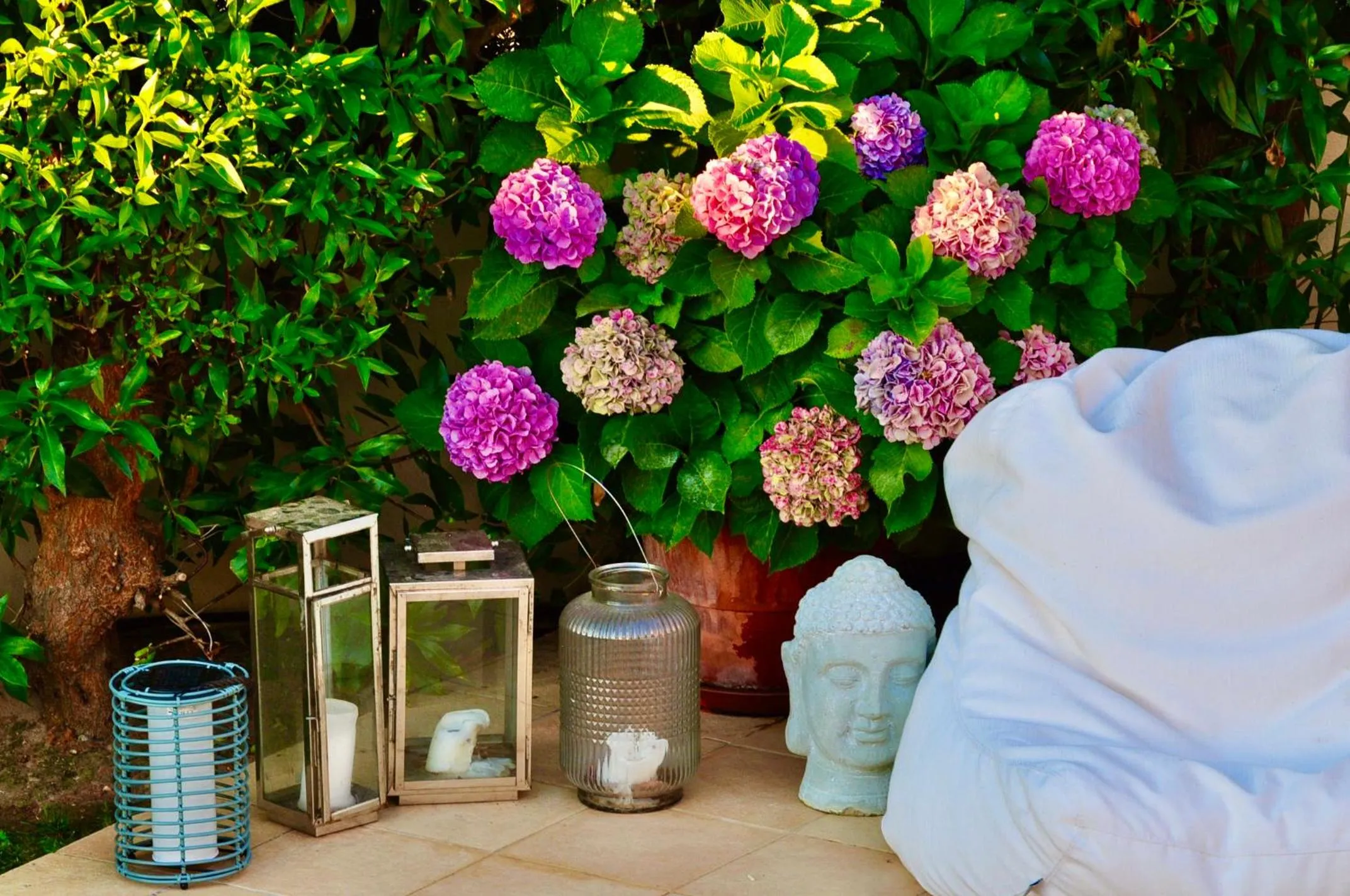 Garden in Casa Eleonora b&b