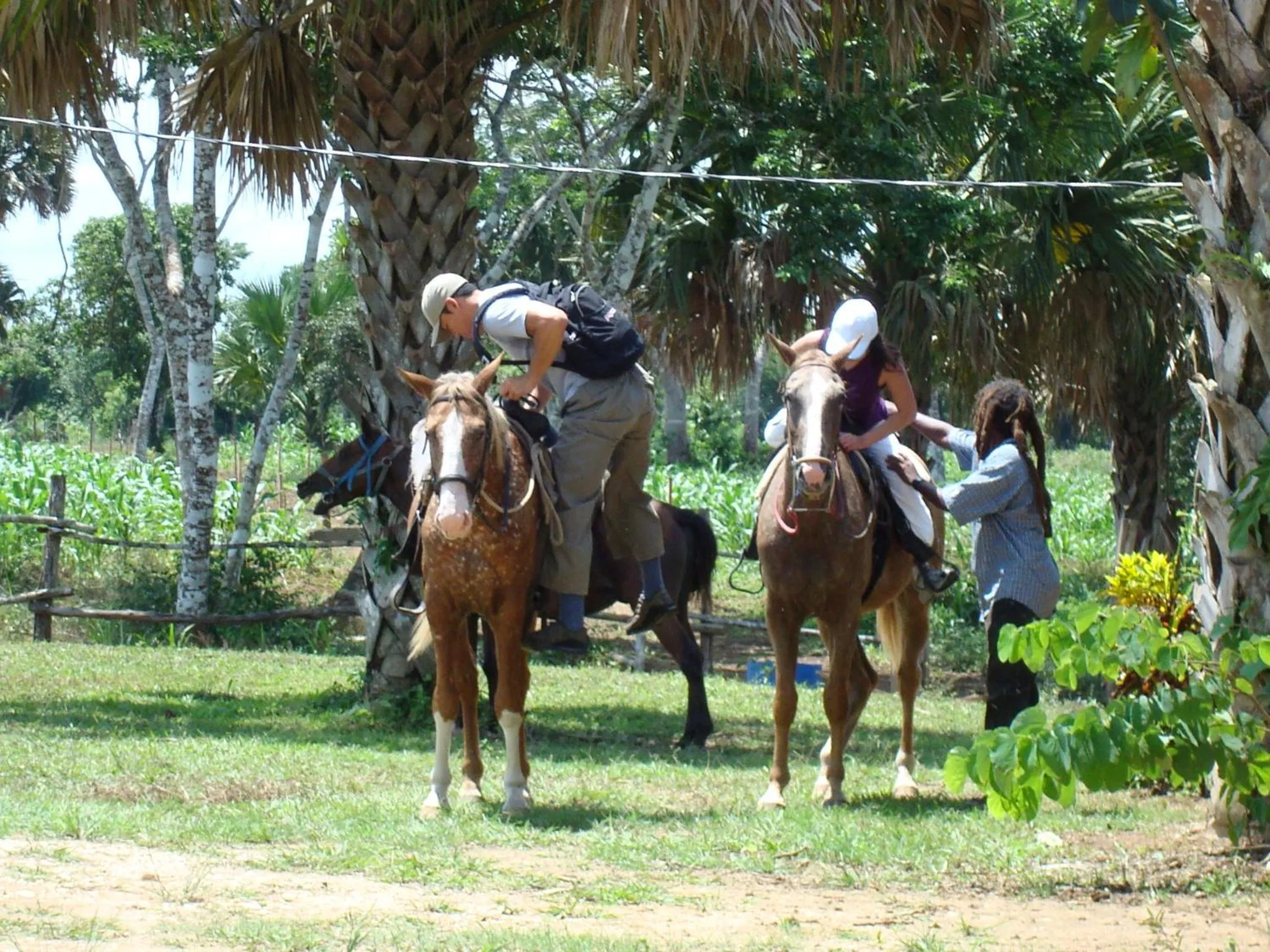 Horse-riding in Mahogany Hall Luxury Boutique Resort