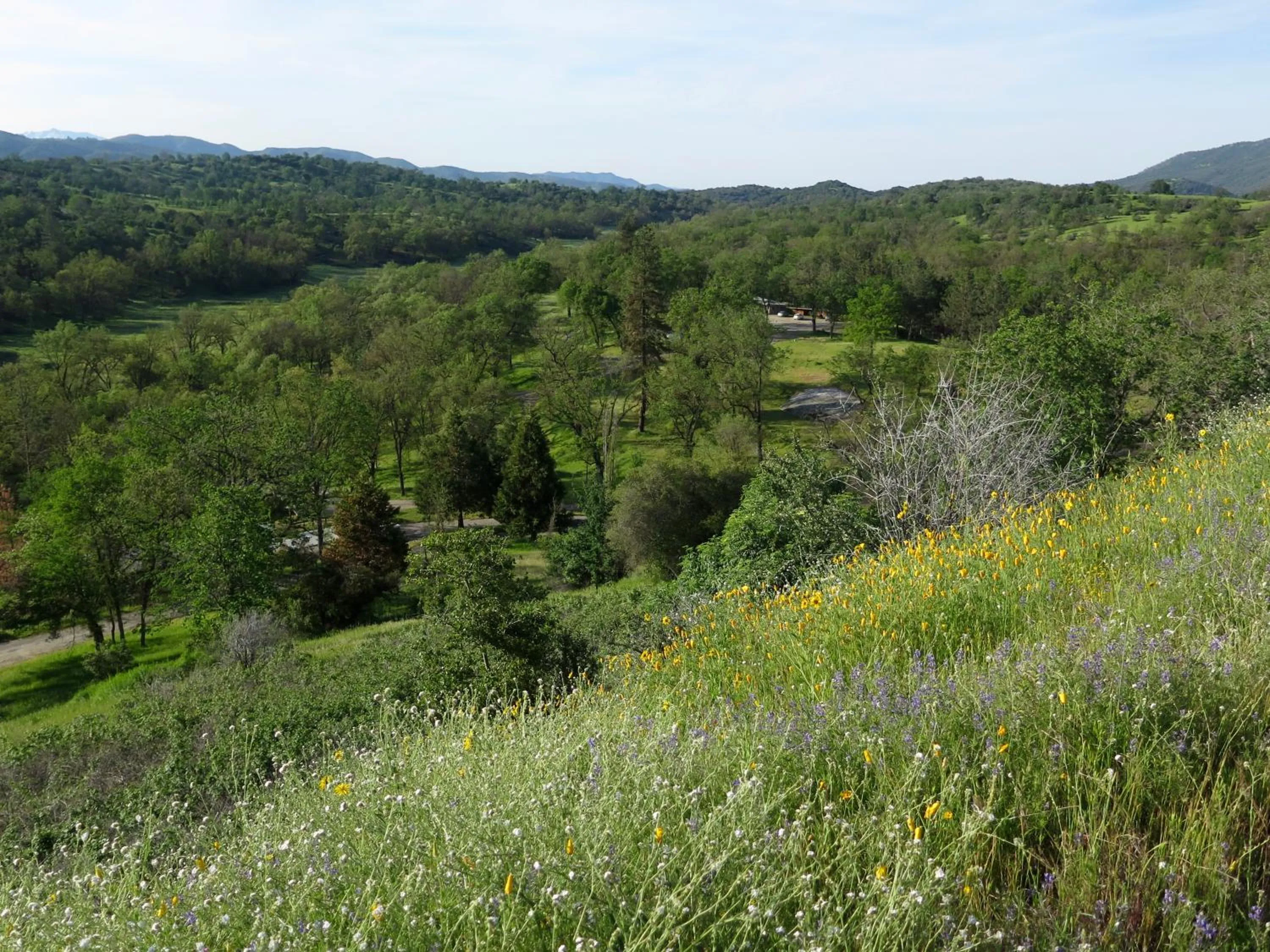 Mountain view in Sequoia Resort