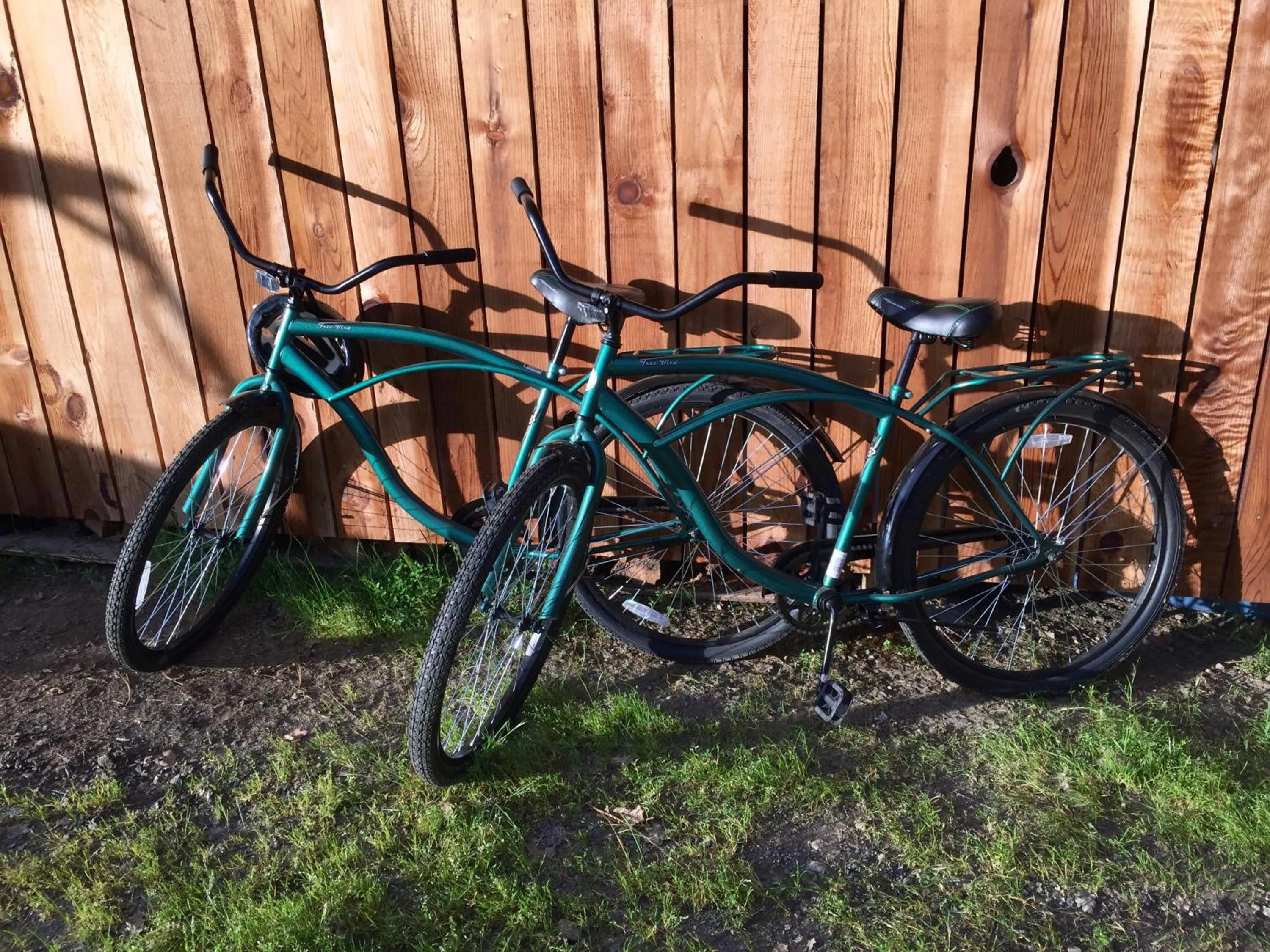 Activities in Sequoia Resort