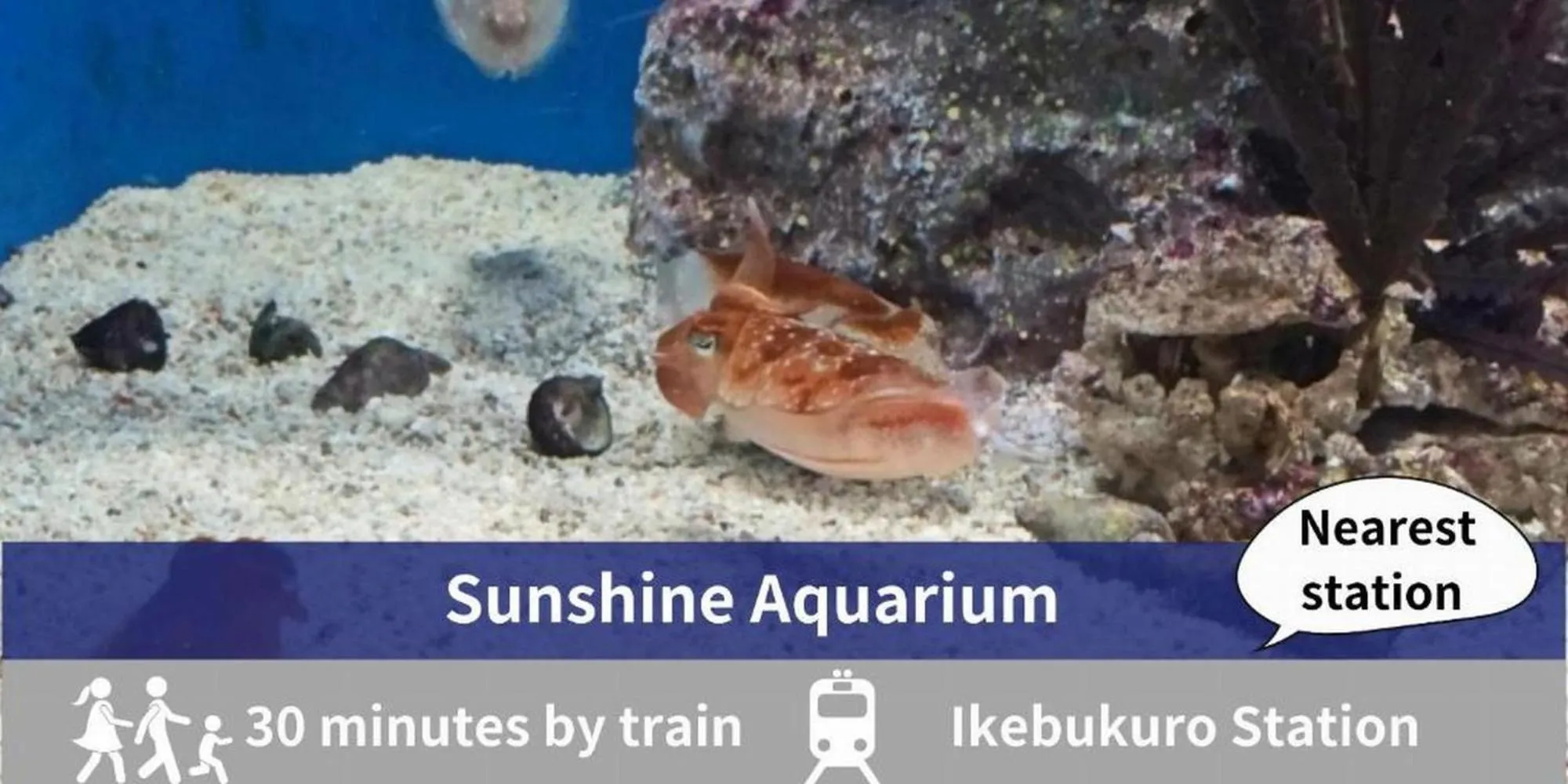 Nearby landmark in Tamayura Hotel Asakusa