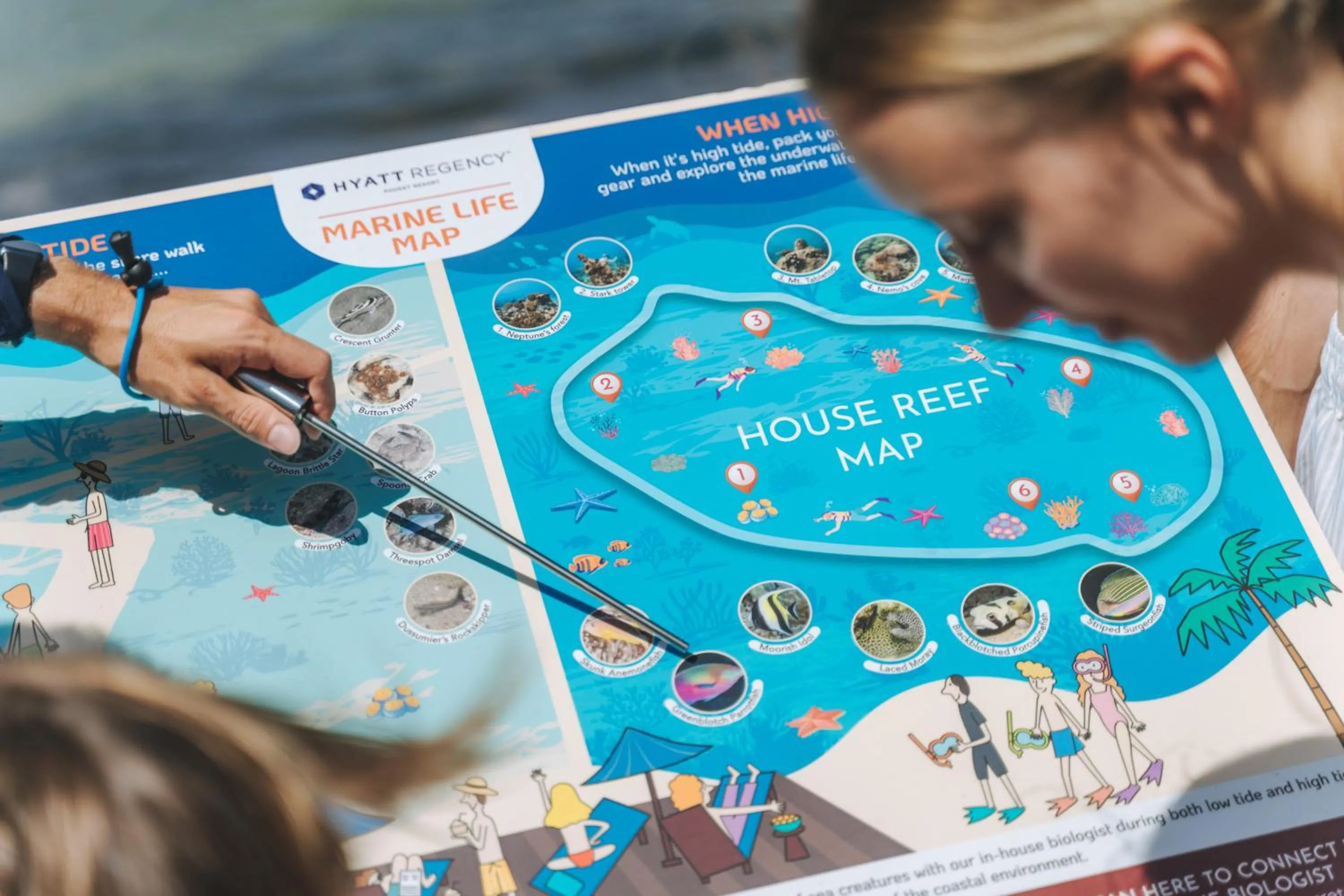 Activities in Hyatt Regency Phuket Resort