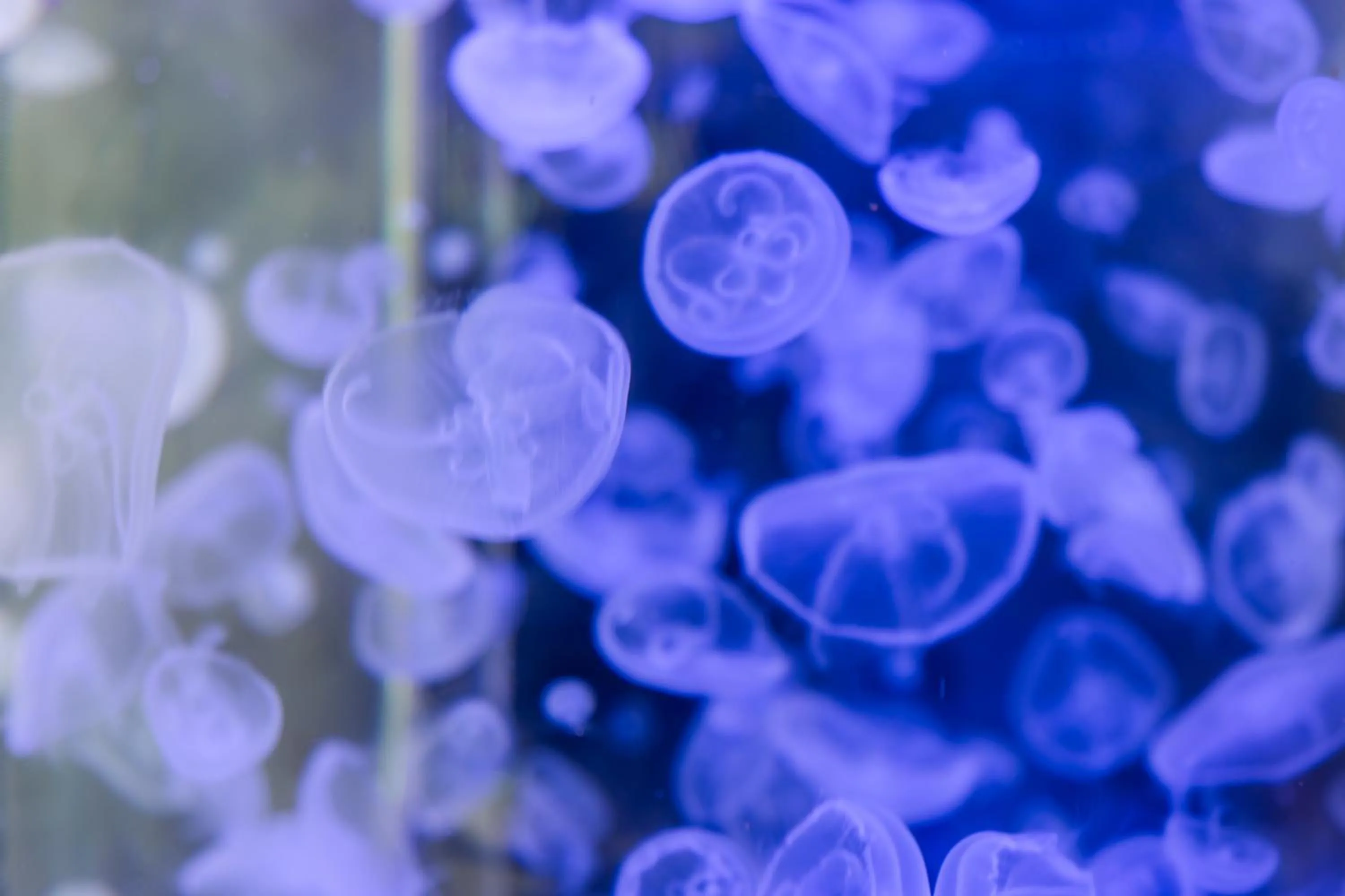 Area and facilities in Hyatt Regency Phuket Resort