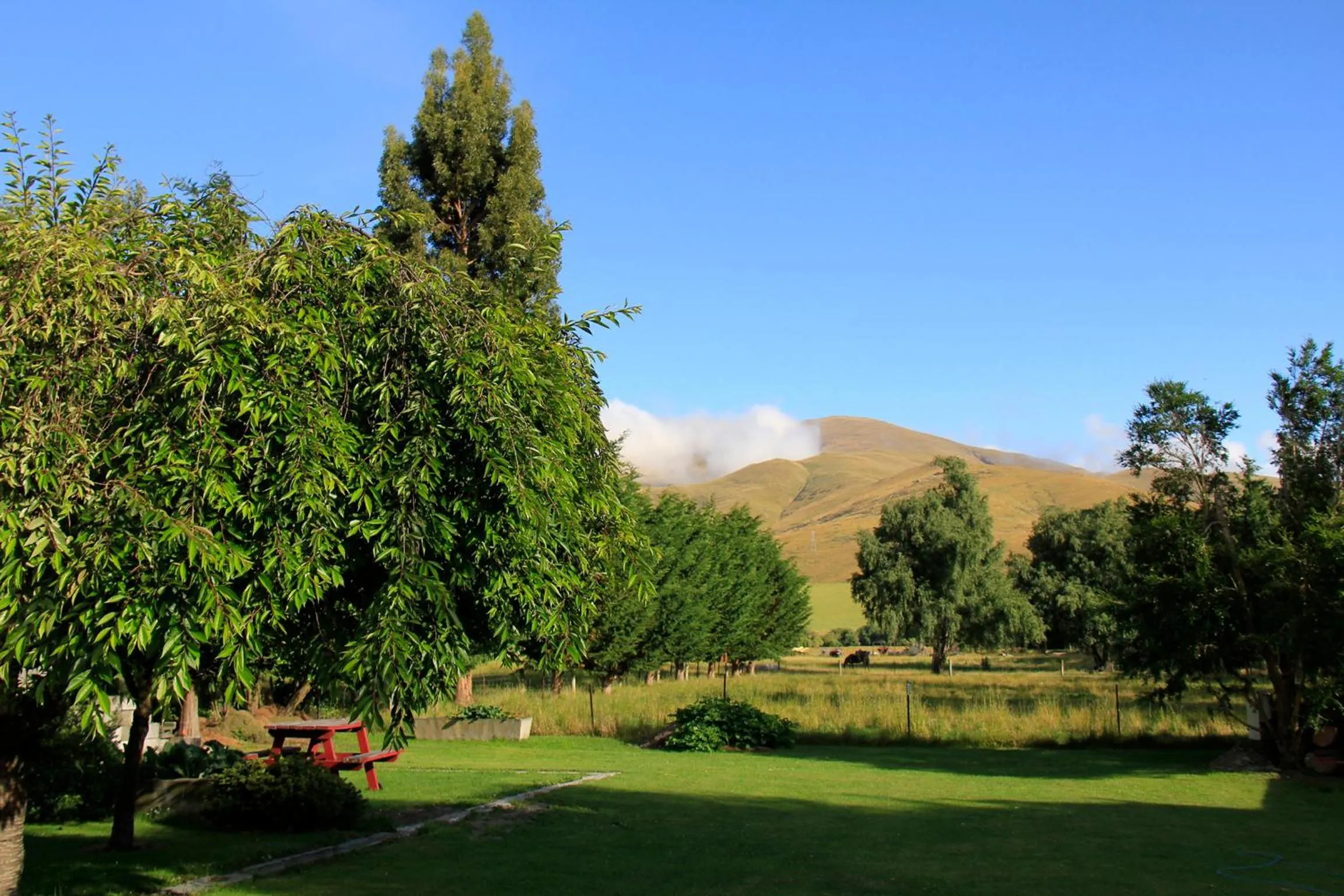 Natural landscape in Burkes Pass Country Motels