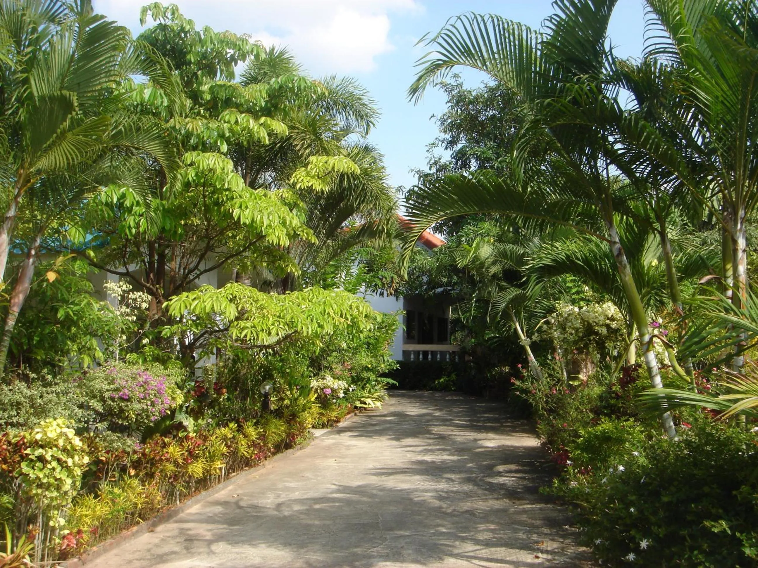 Area and facilities in Real Relax Resort