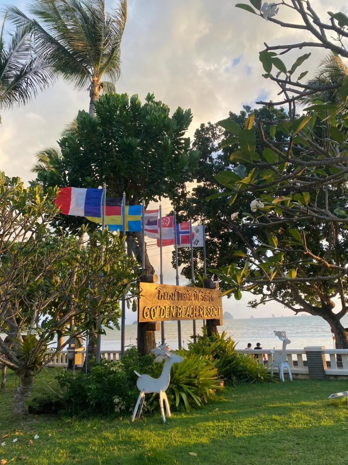 Natural landscape in Golden Beach Resort