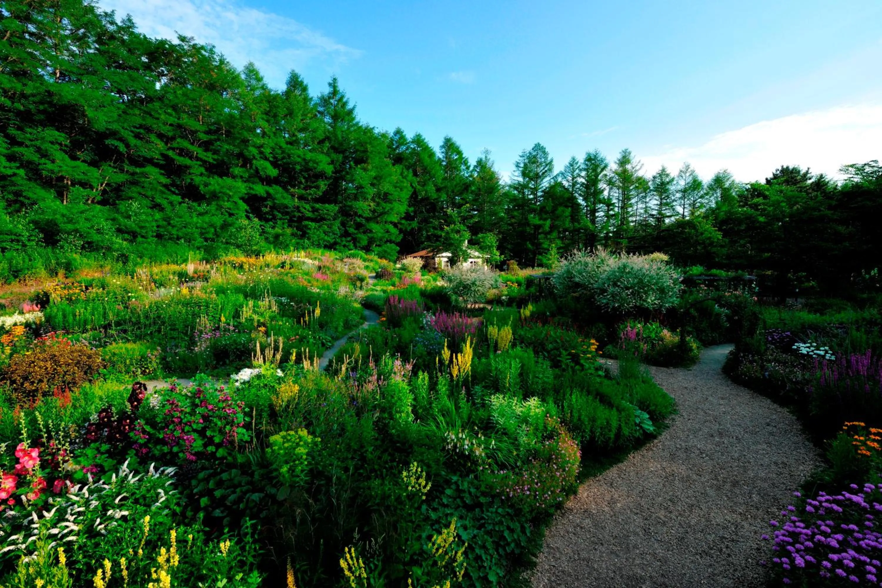Garden in Shin Furano Prince Hotel