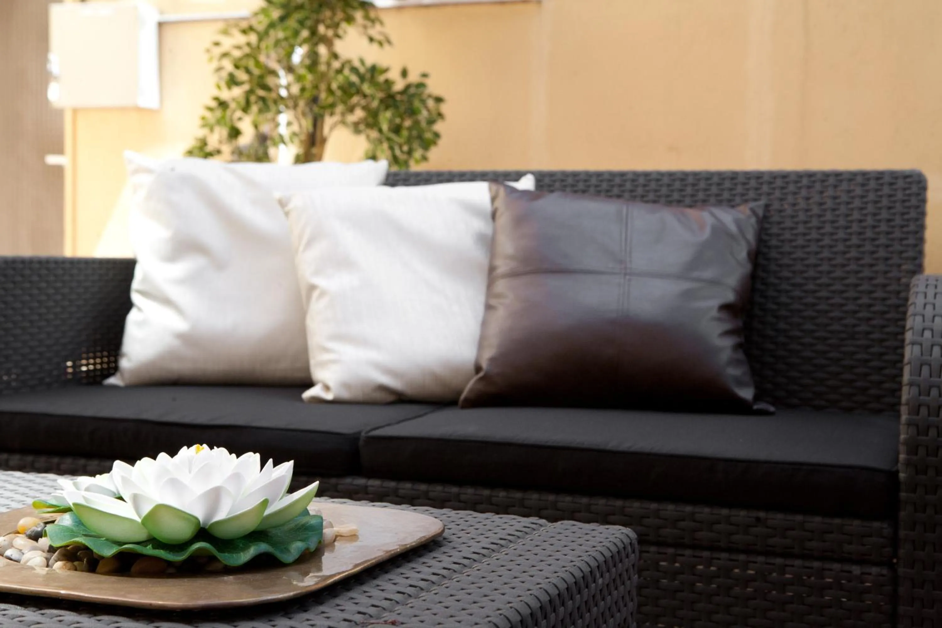 Balcony/Terrace in Casa Maca Guest House