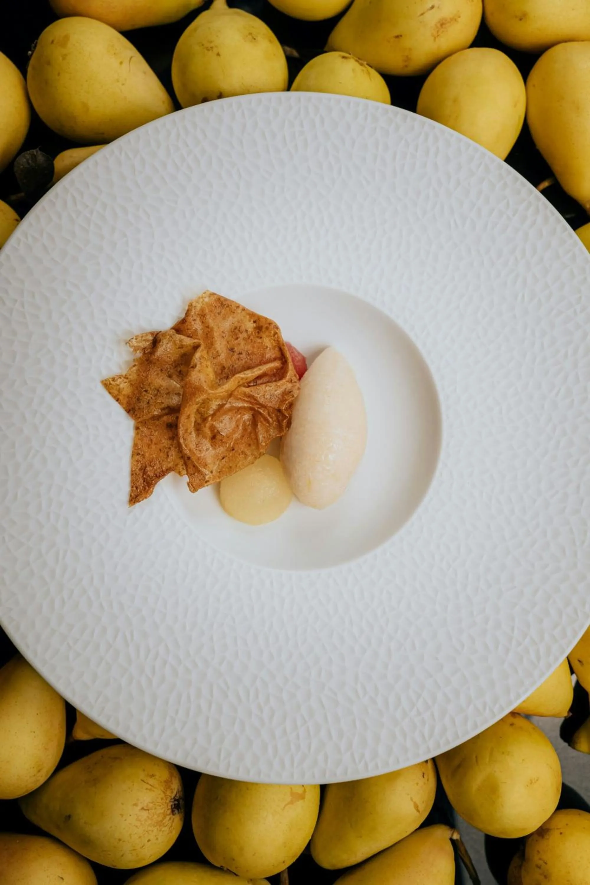 Restaurant/places to eat in The Westin Palace, Milan