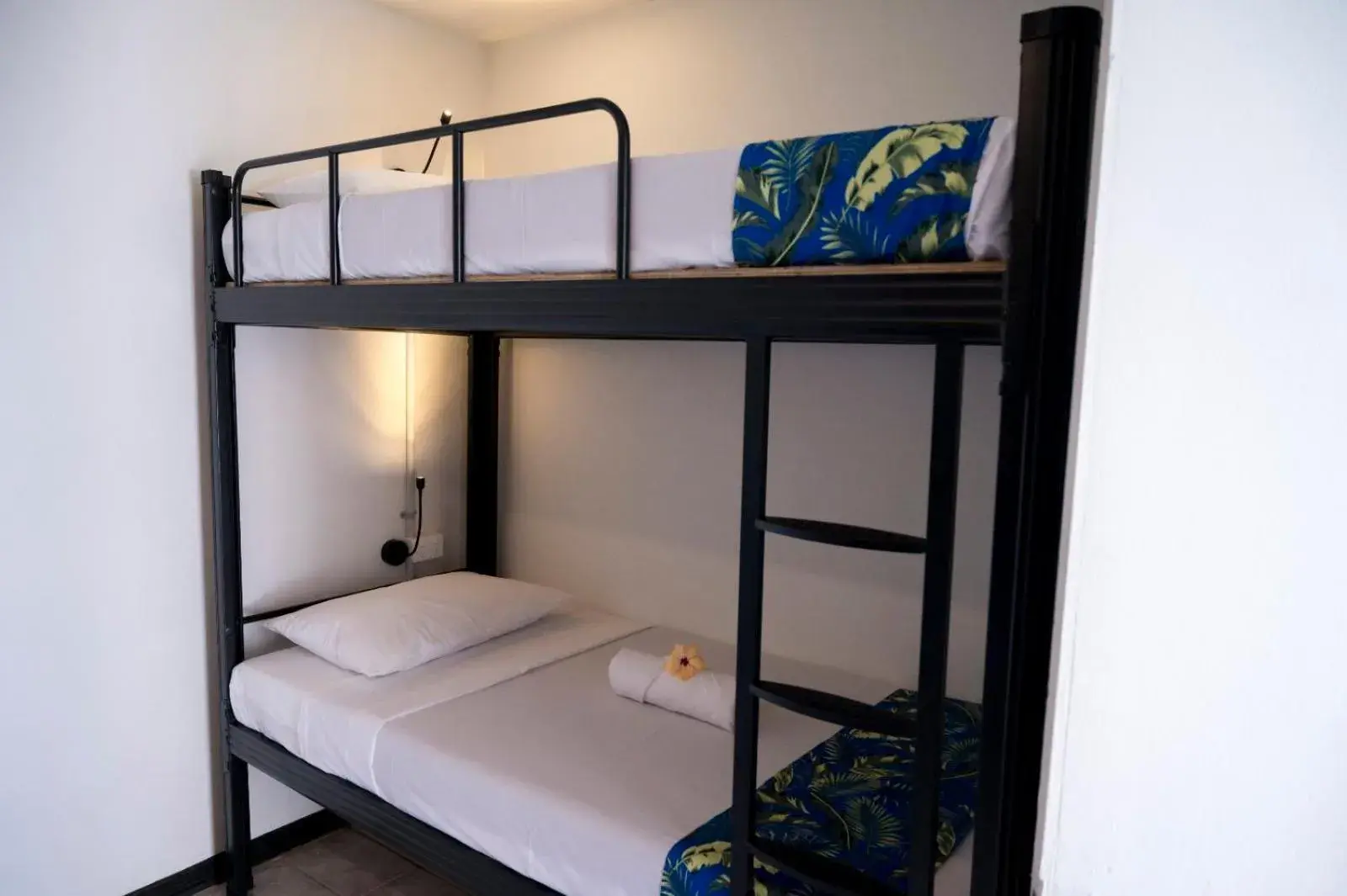Bunk Bed in Female Dormitory Room in Sailors Beach Fiji Bunk Bed in Female Dormitory Room in Sailors Beach Fiji