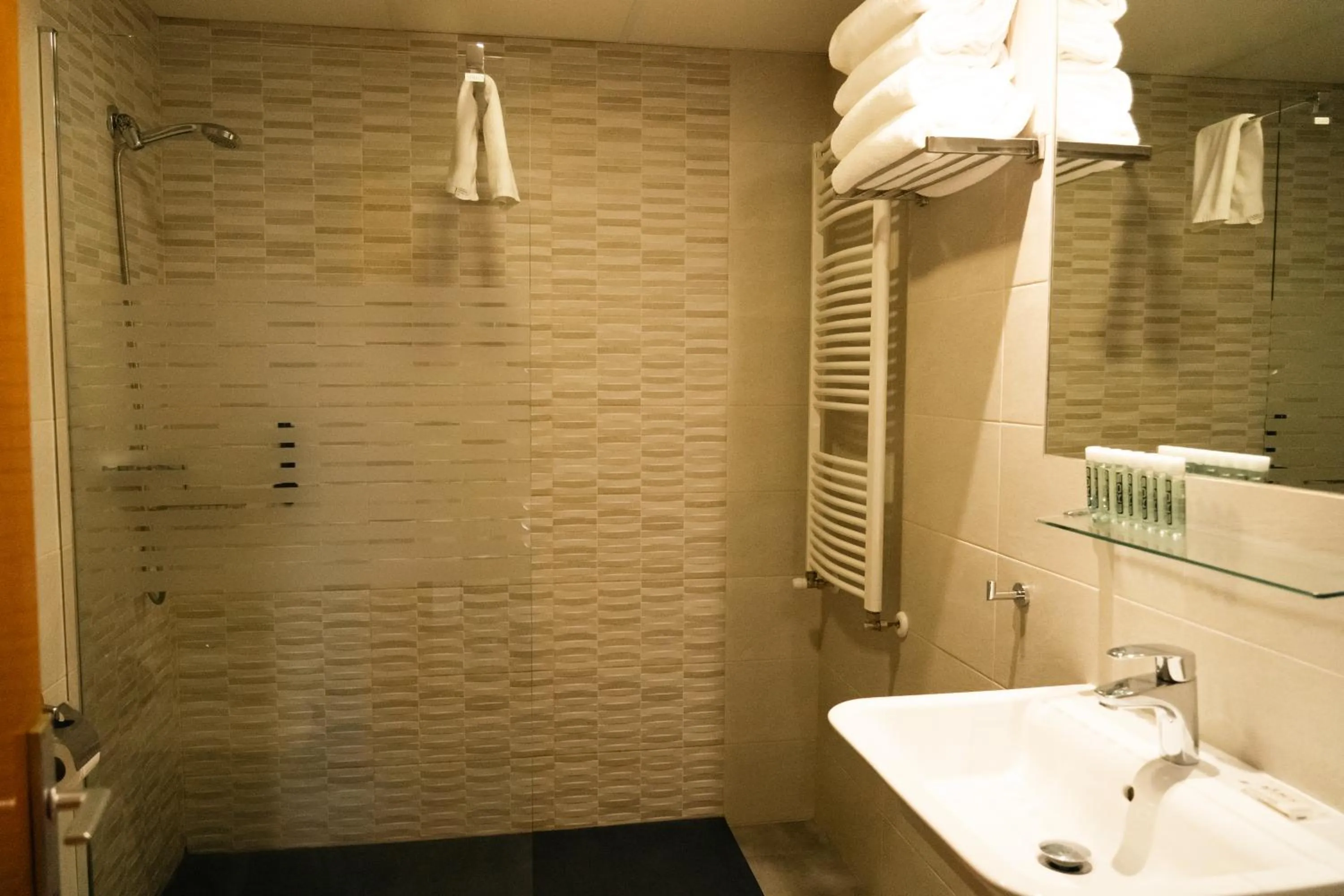 Shower in Apartamentos SNÖ Edelweiss