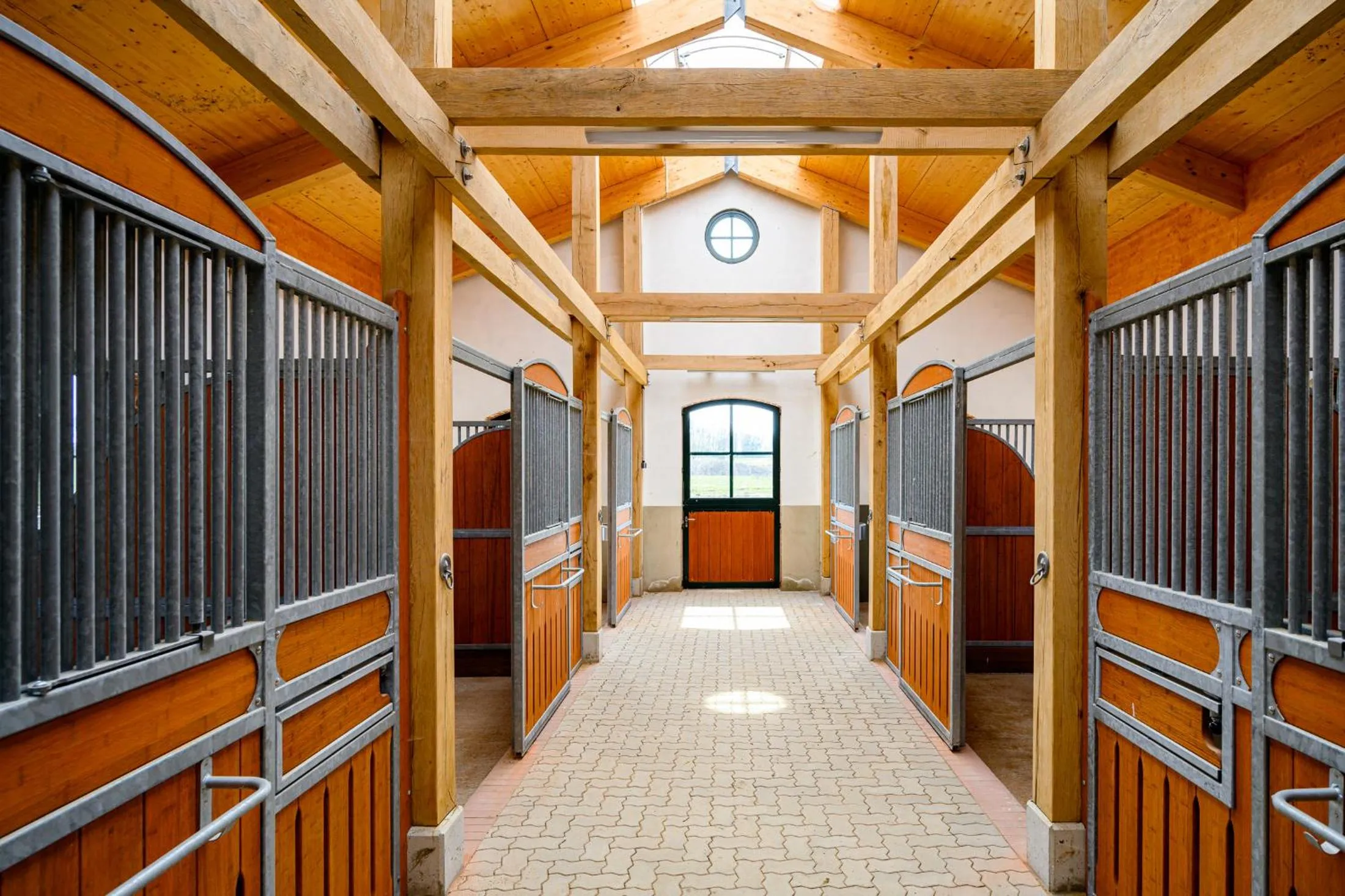 Activities in Hotel Gut Immenhof