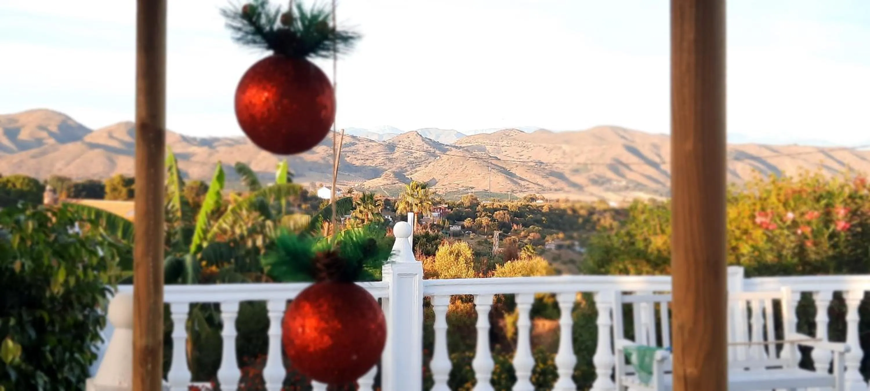 View (from property/room) in Finca Sueño de Vida