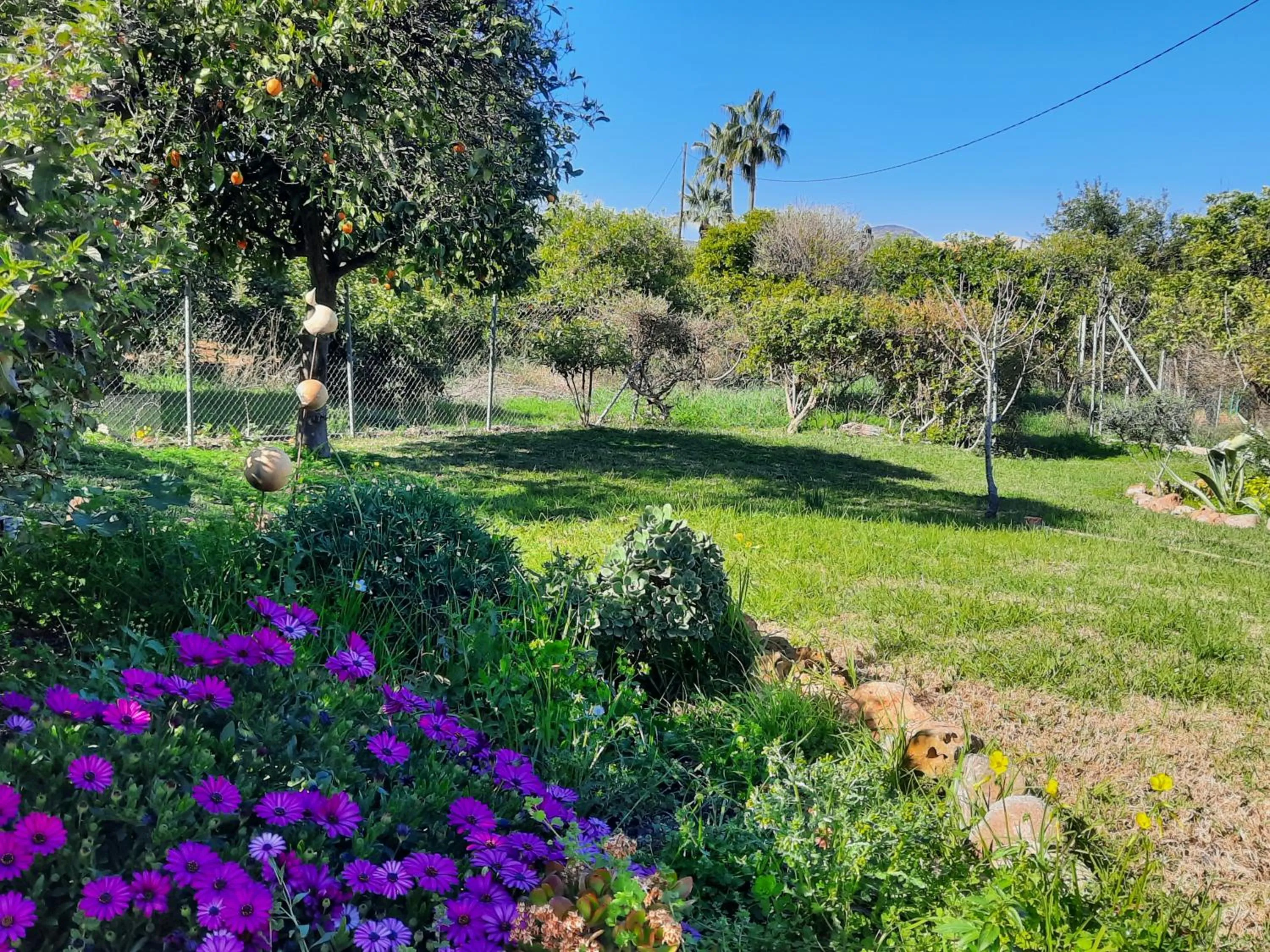 Garden view in Finca Sueño de Vida