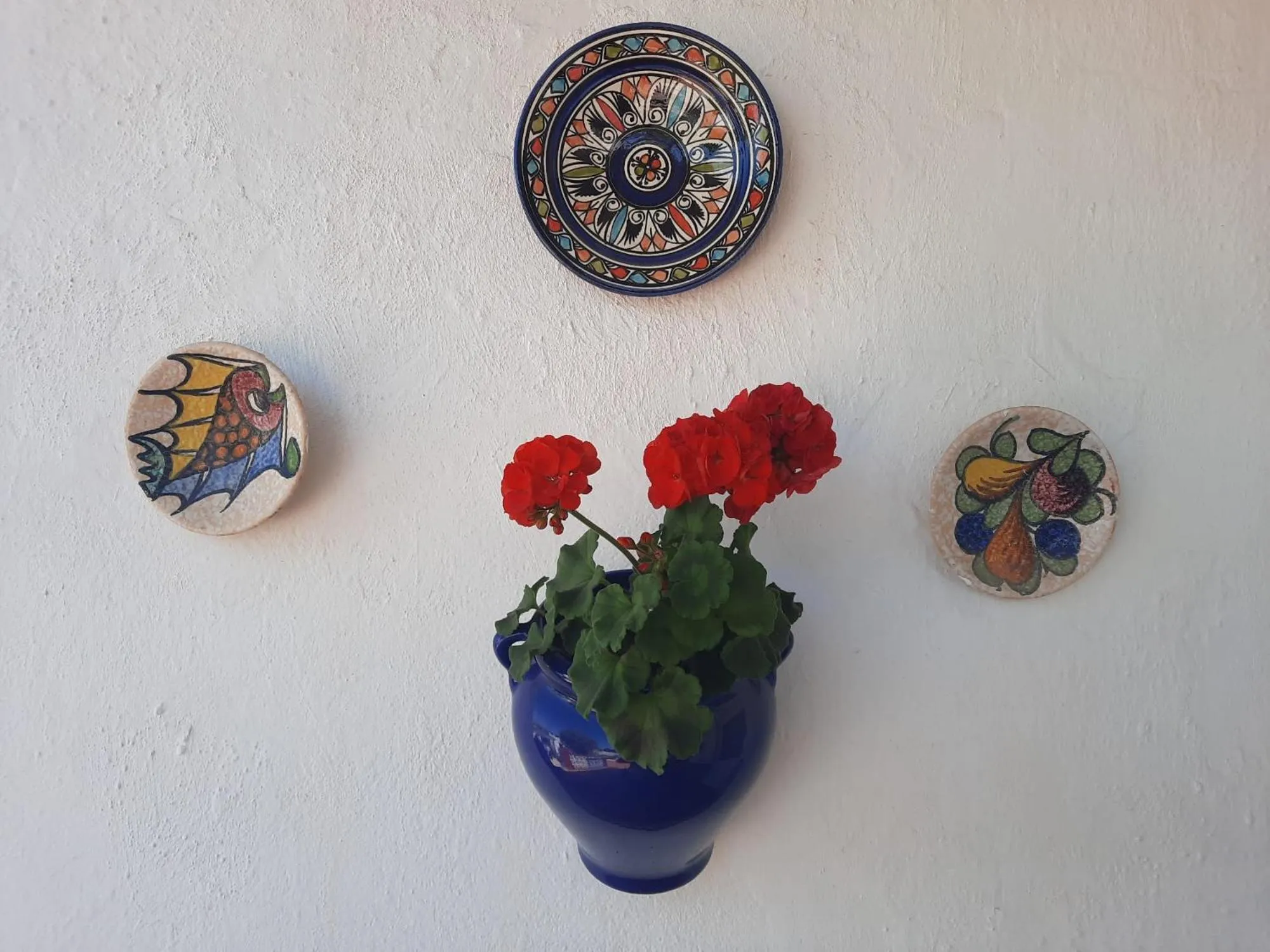 Finca Sueño de Vida