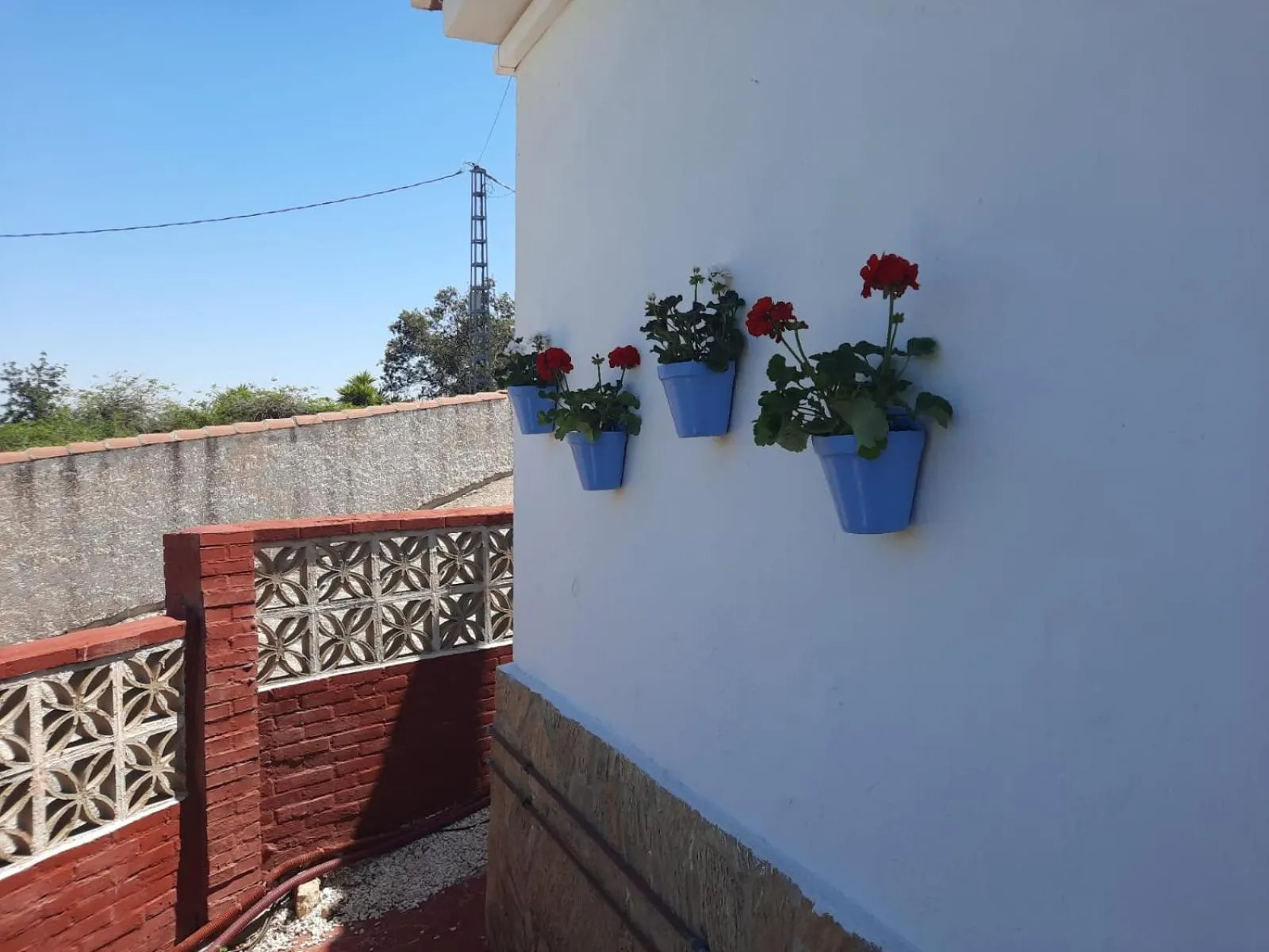 Decorative detail in Finca Sueño de Vida