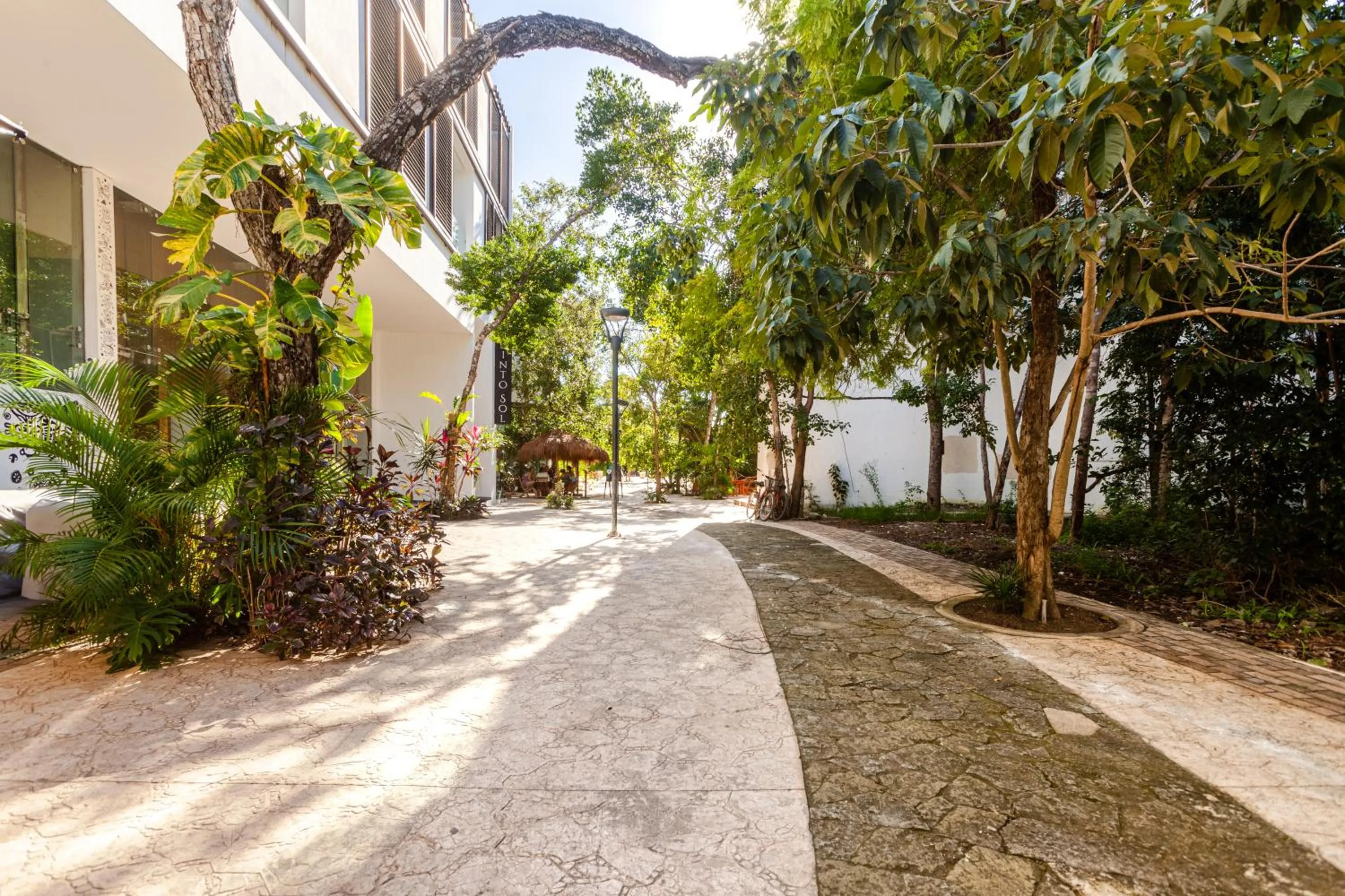 Neighbourhood in Azalea by Zamá Homes