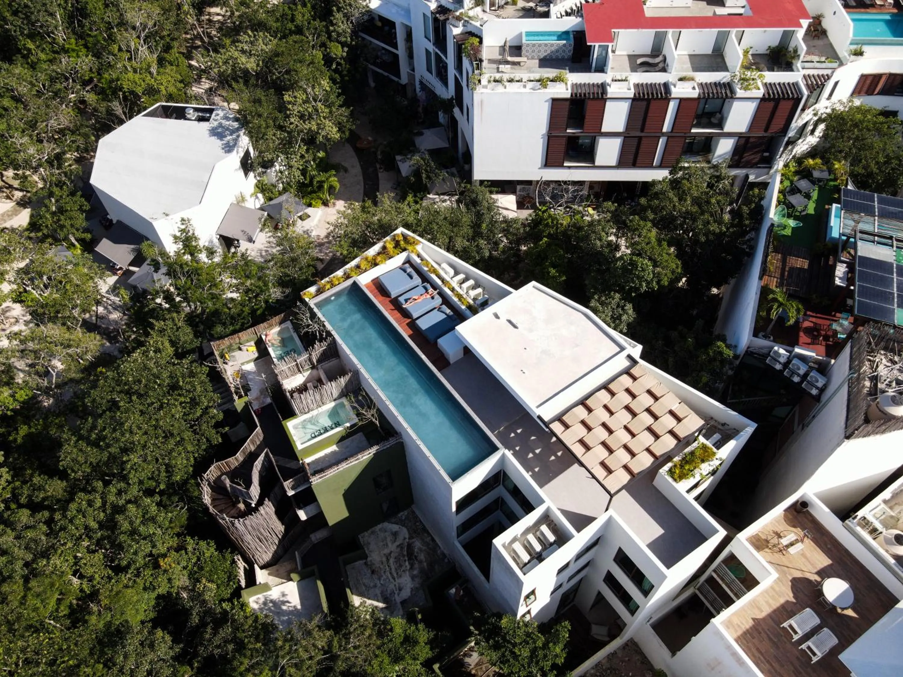 Swimming pool in Azalea by Zamá Homes