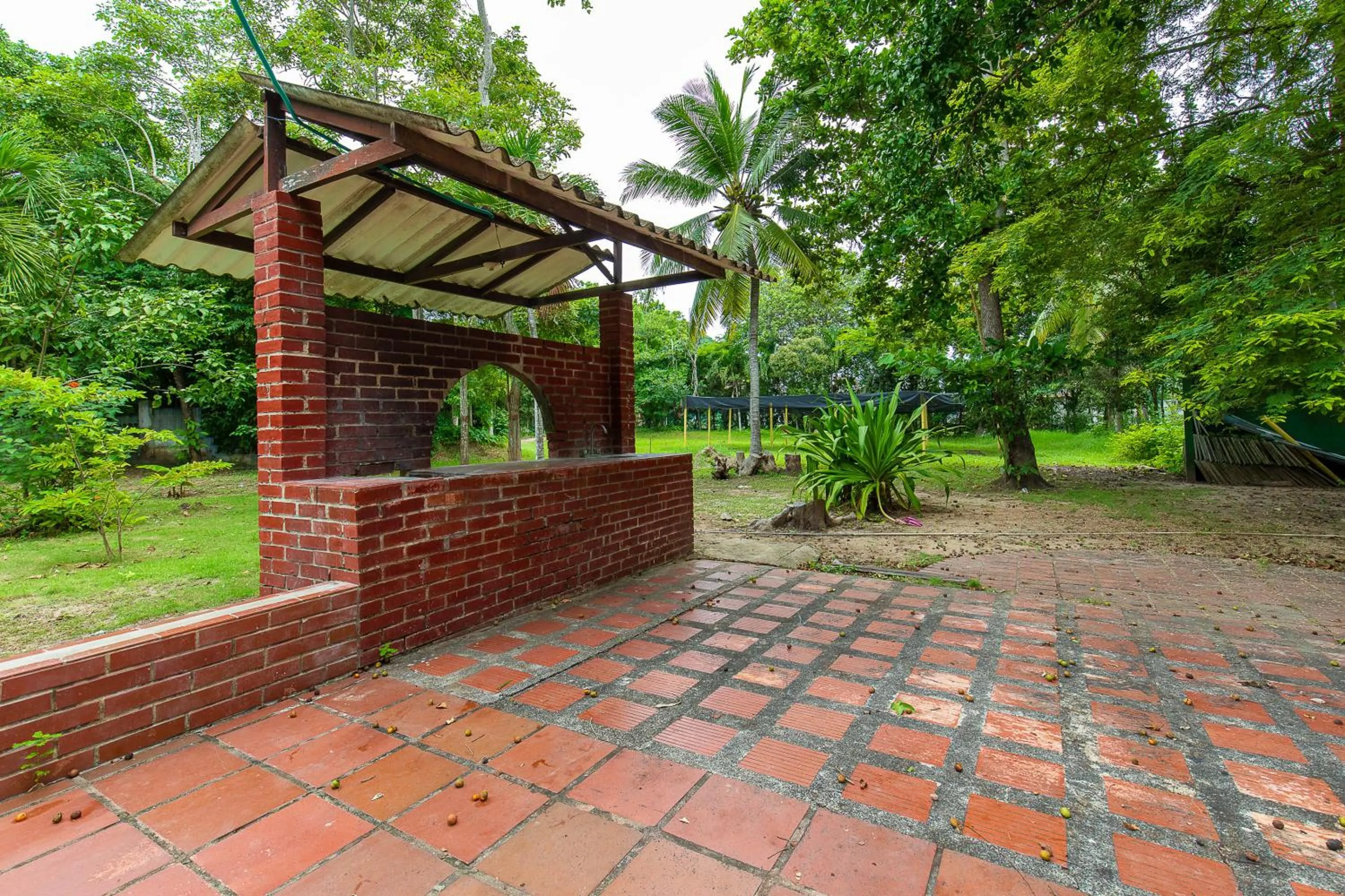 Garden in Hostal Campomar
