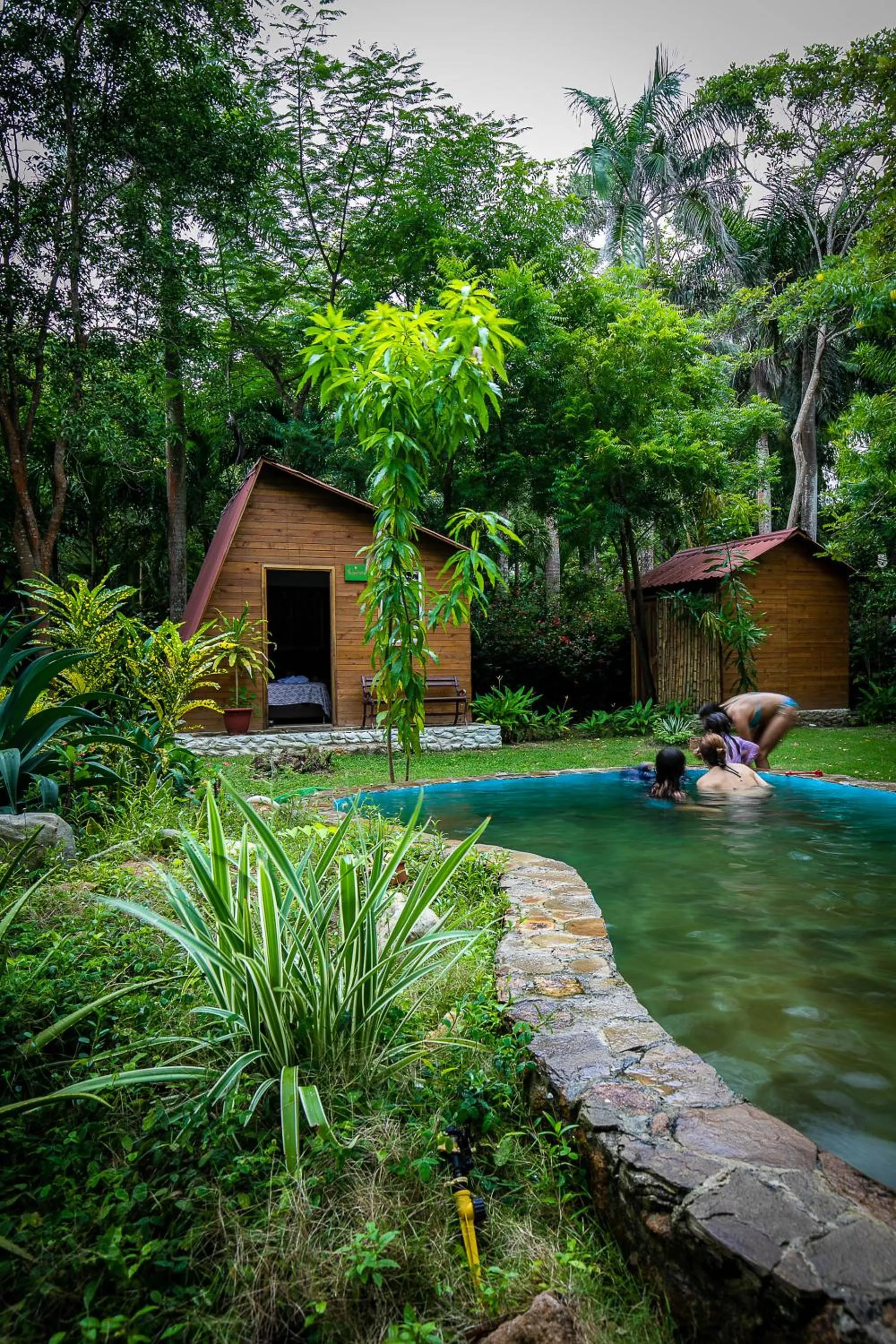 Garden in Hostal Campomar