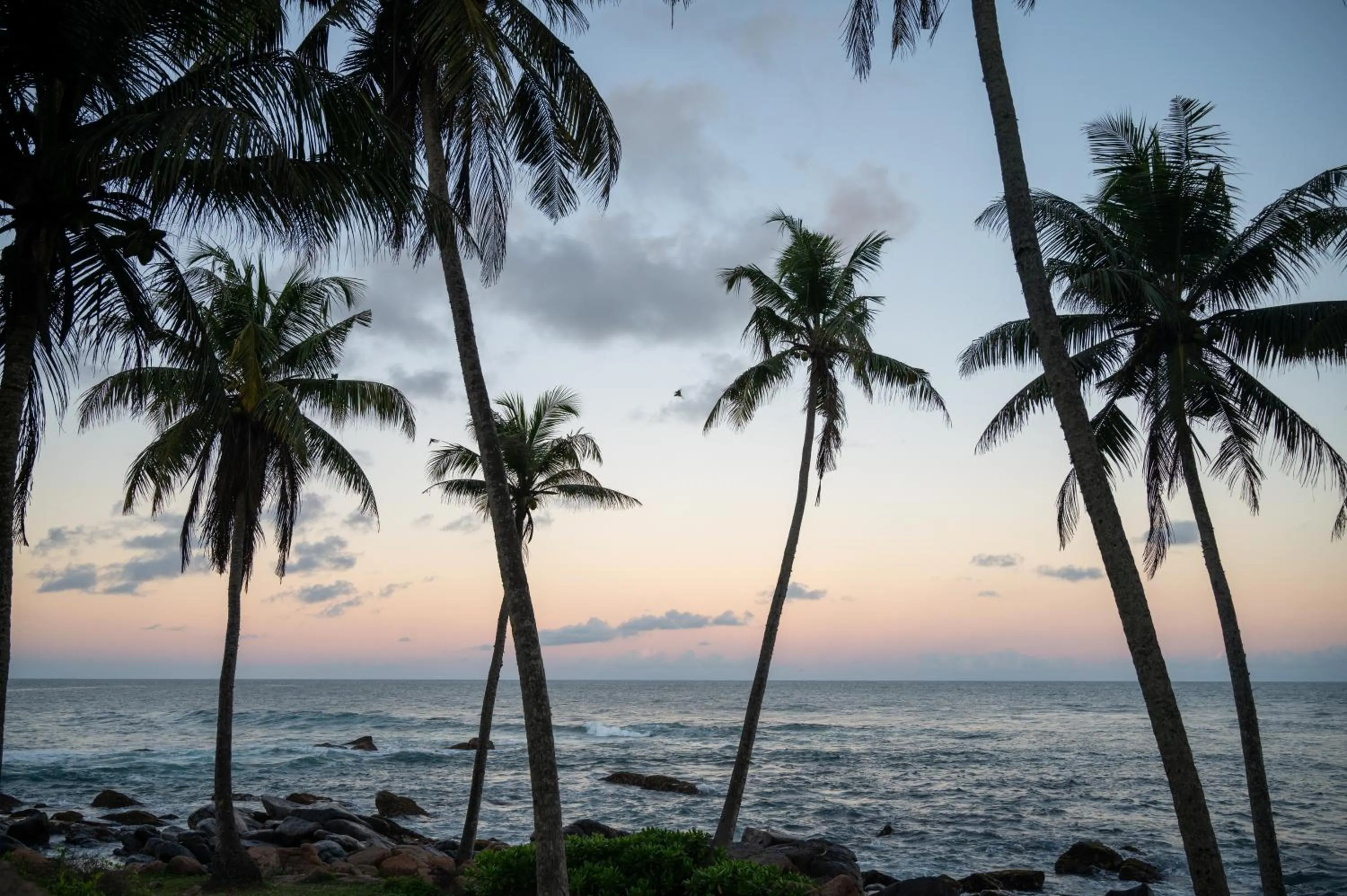 Natural landscape in Beacon By The Bay Villas and Suites by the Clarks