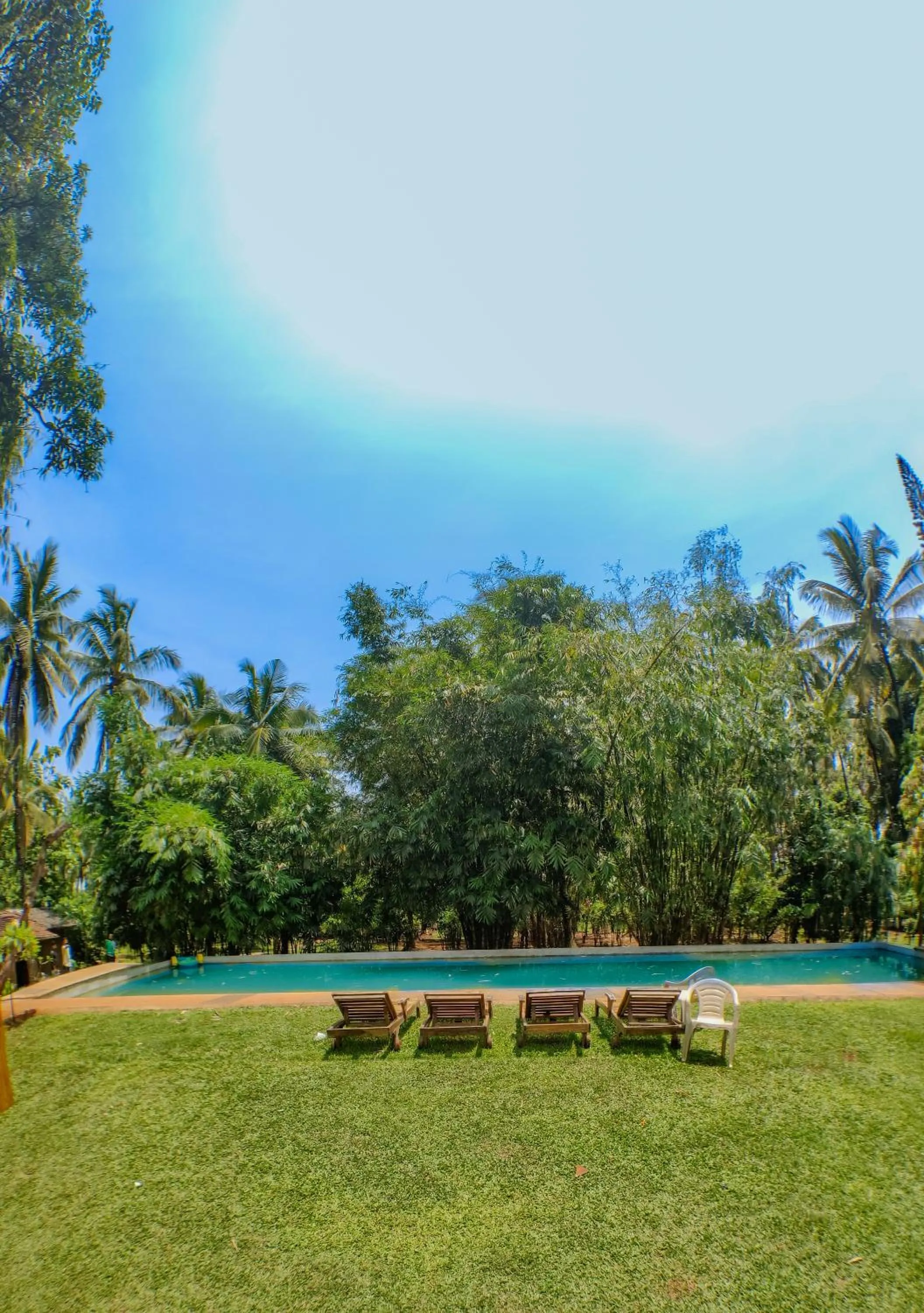 Swimming pool in The Orchard Resort