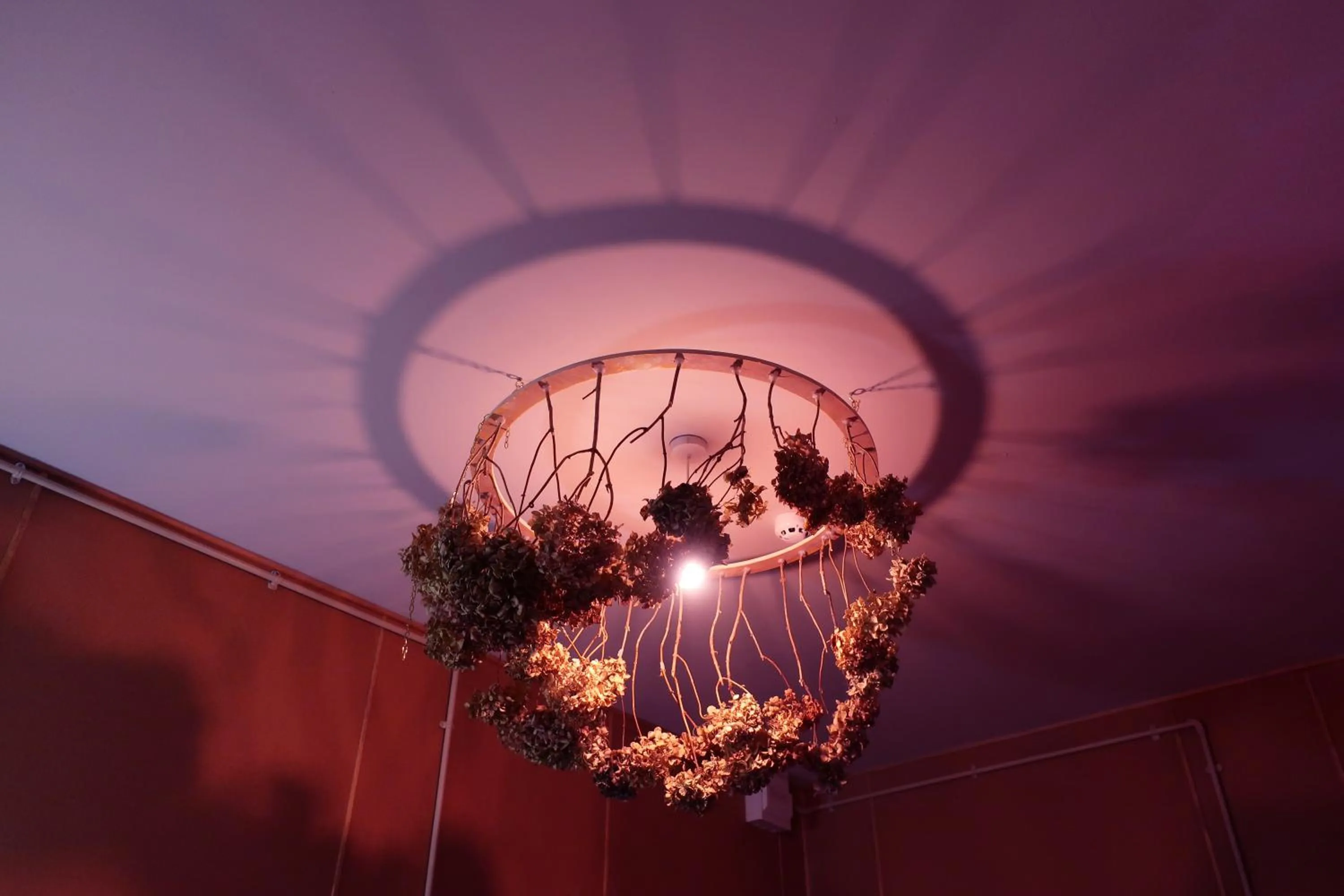 Decorative detail in Art Hostel