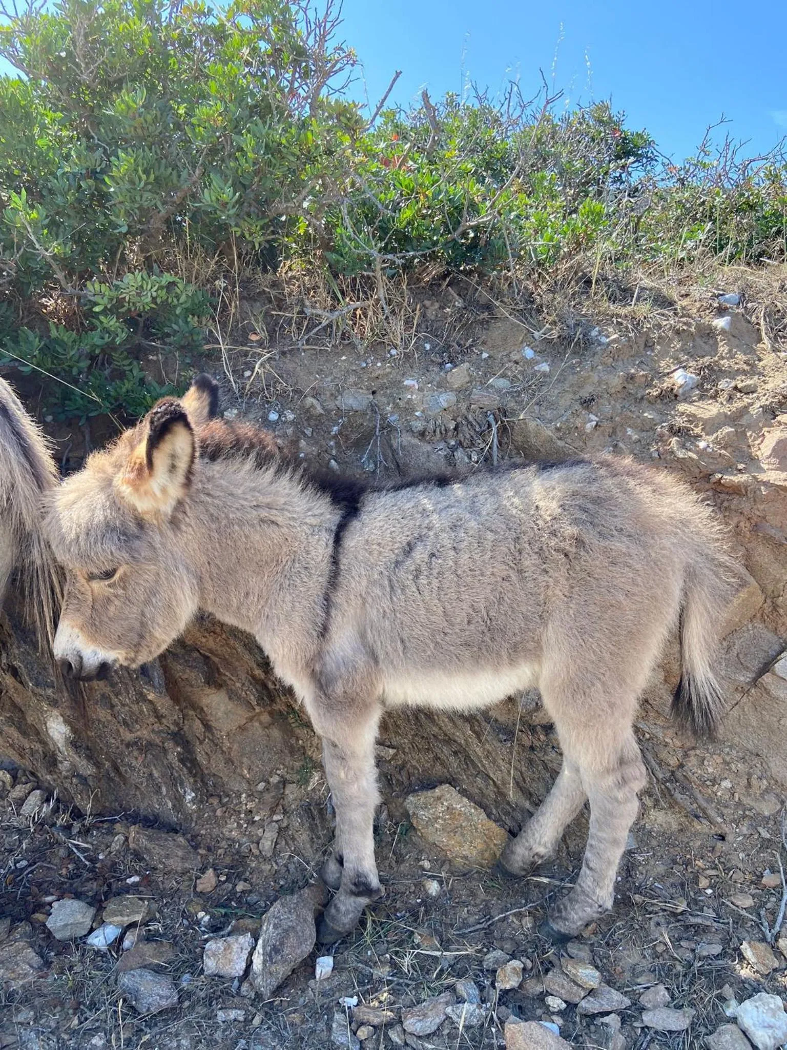 Hiking in UNAHOTELS Club Hotel Ancora