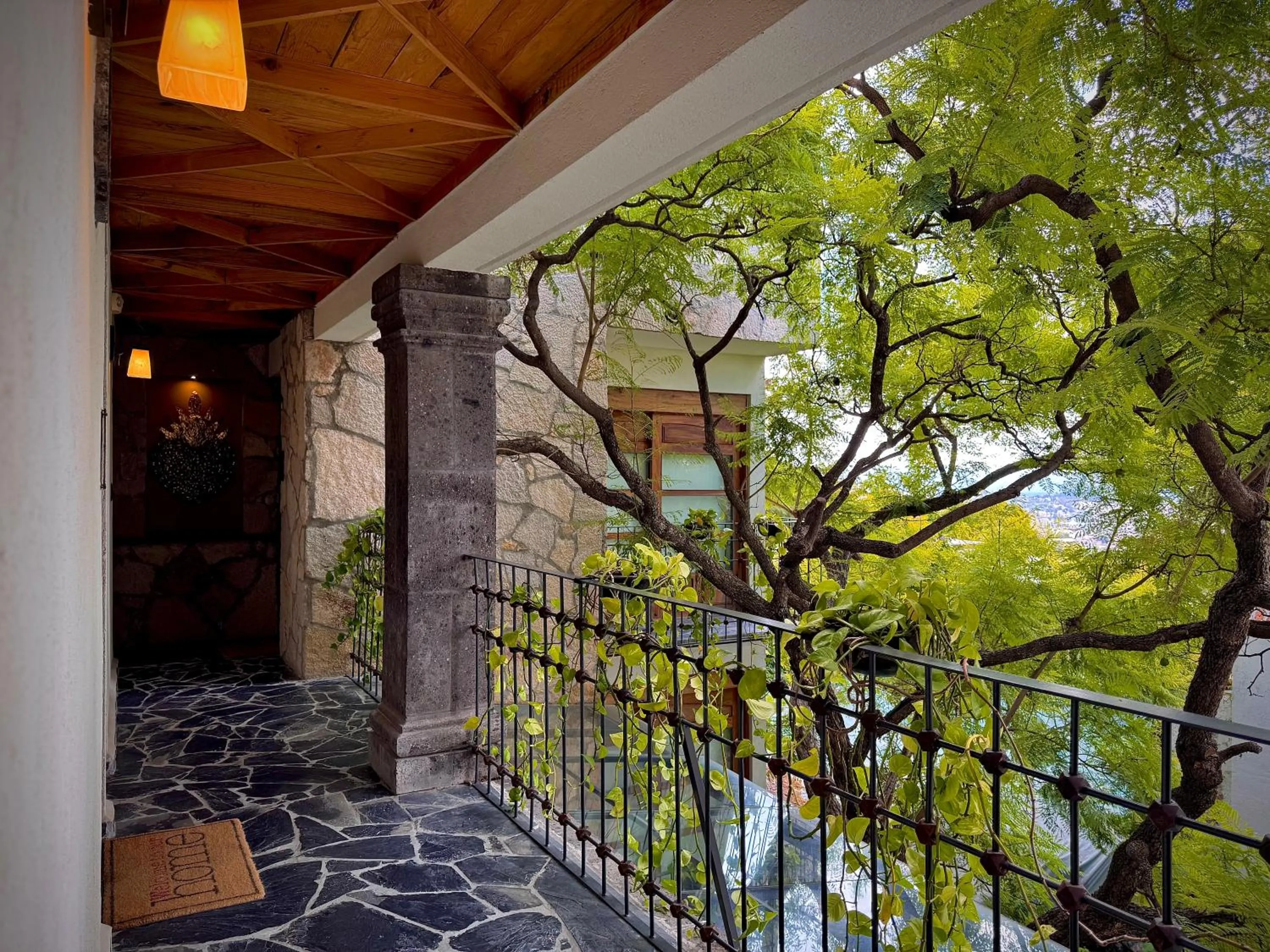 Garden in Hotel Boutique Casa Laja