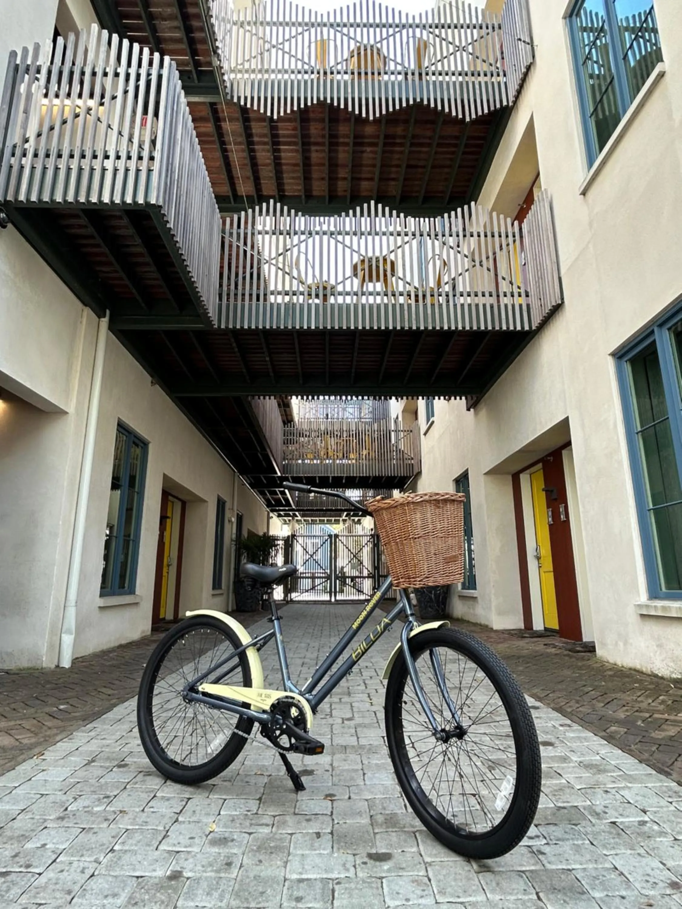 Activities in The Iris