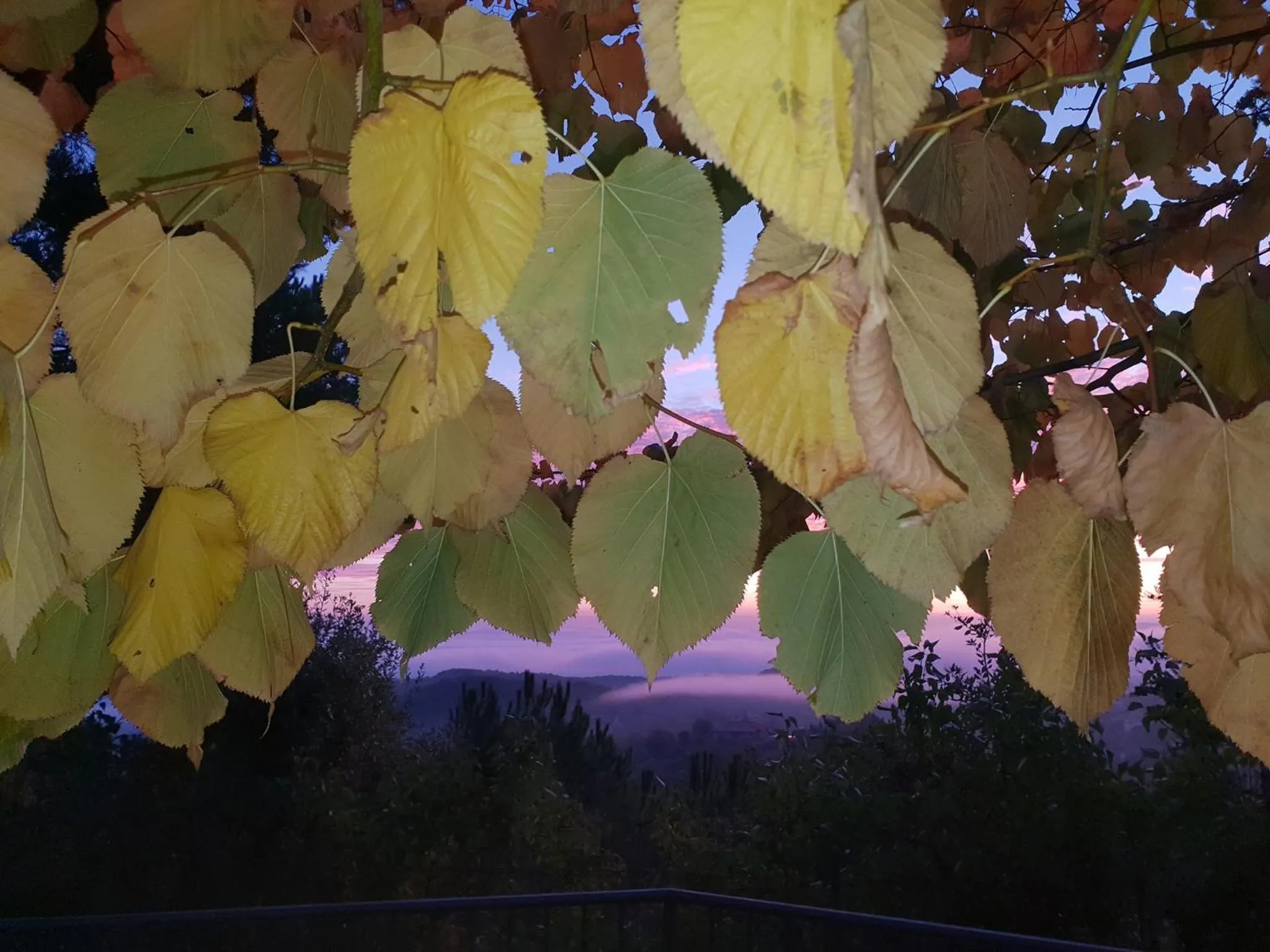 Autumn in Hotel Panoramic Montepulciano