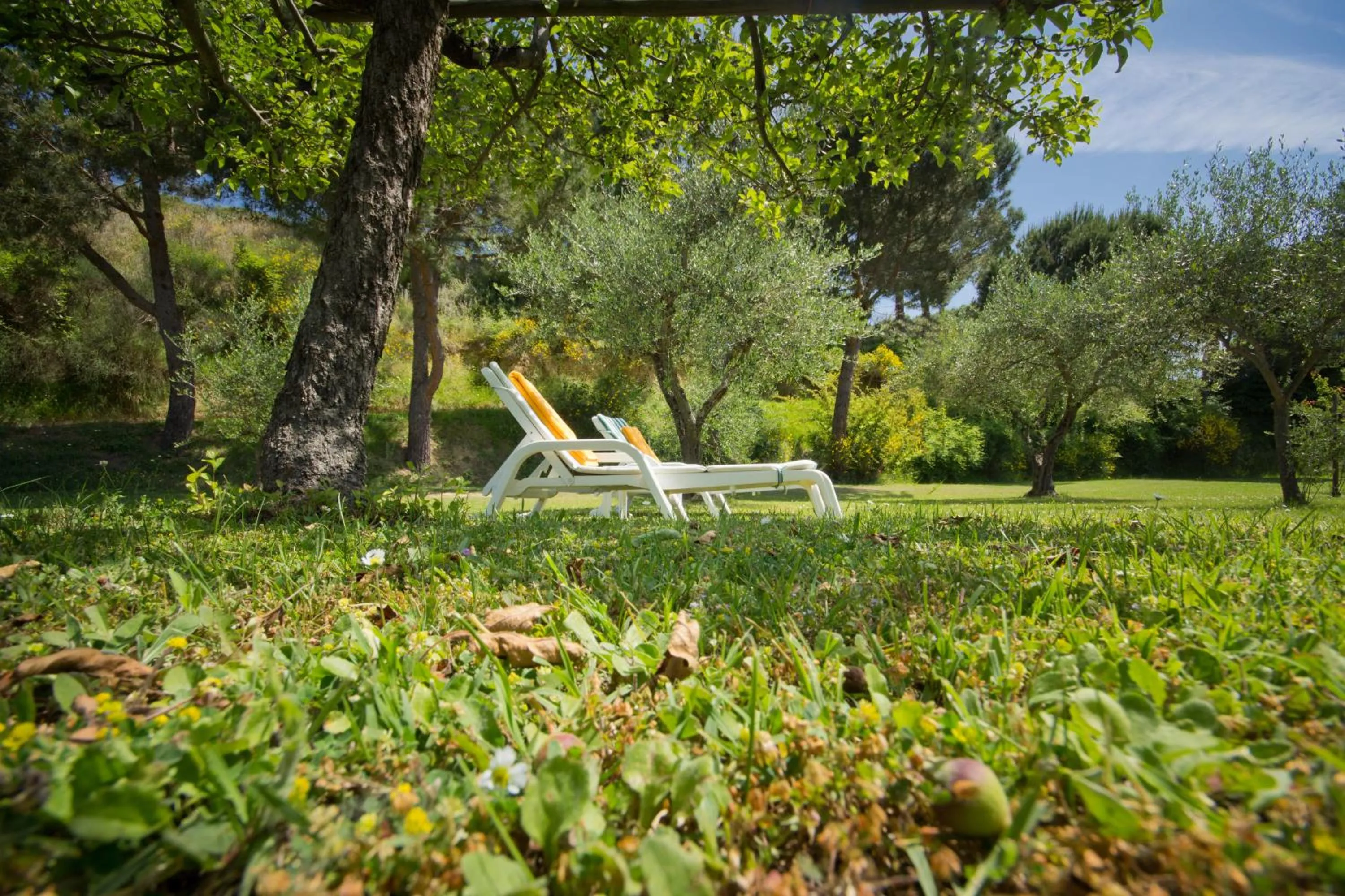 Garden in Hotel Panoramic Montepulciano