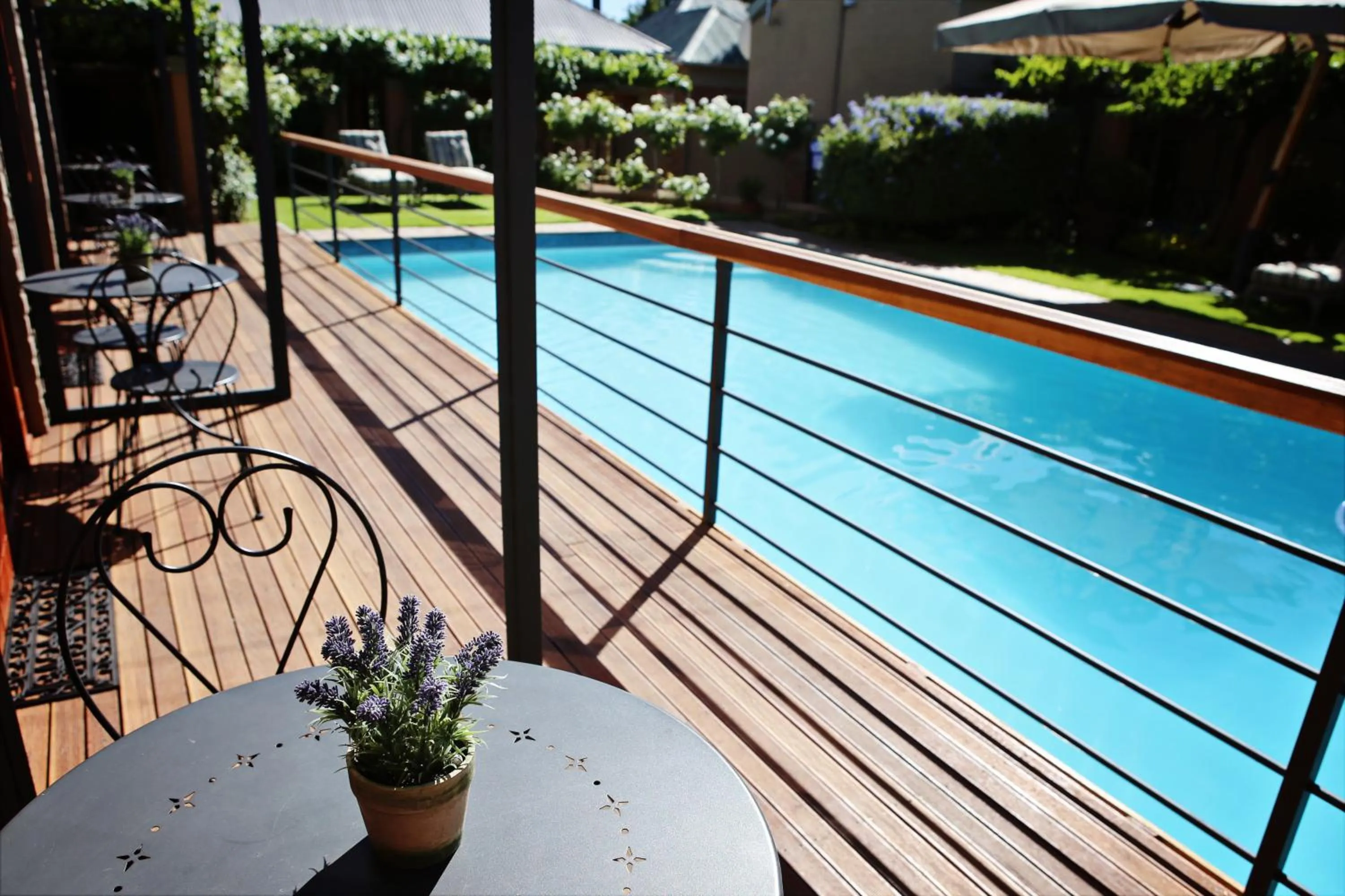 Swimming pool in Oleander Guest House