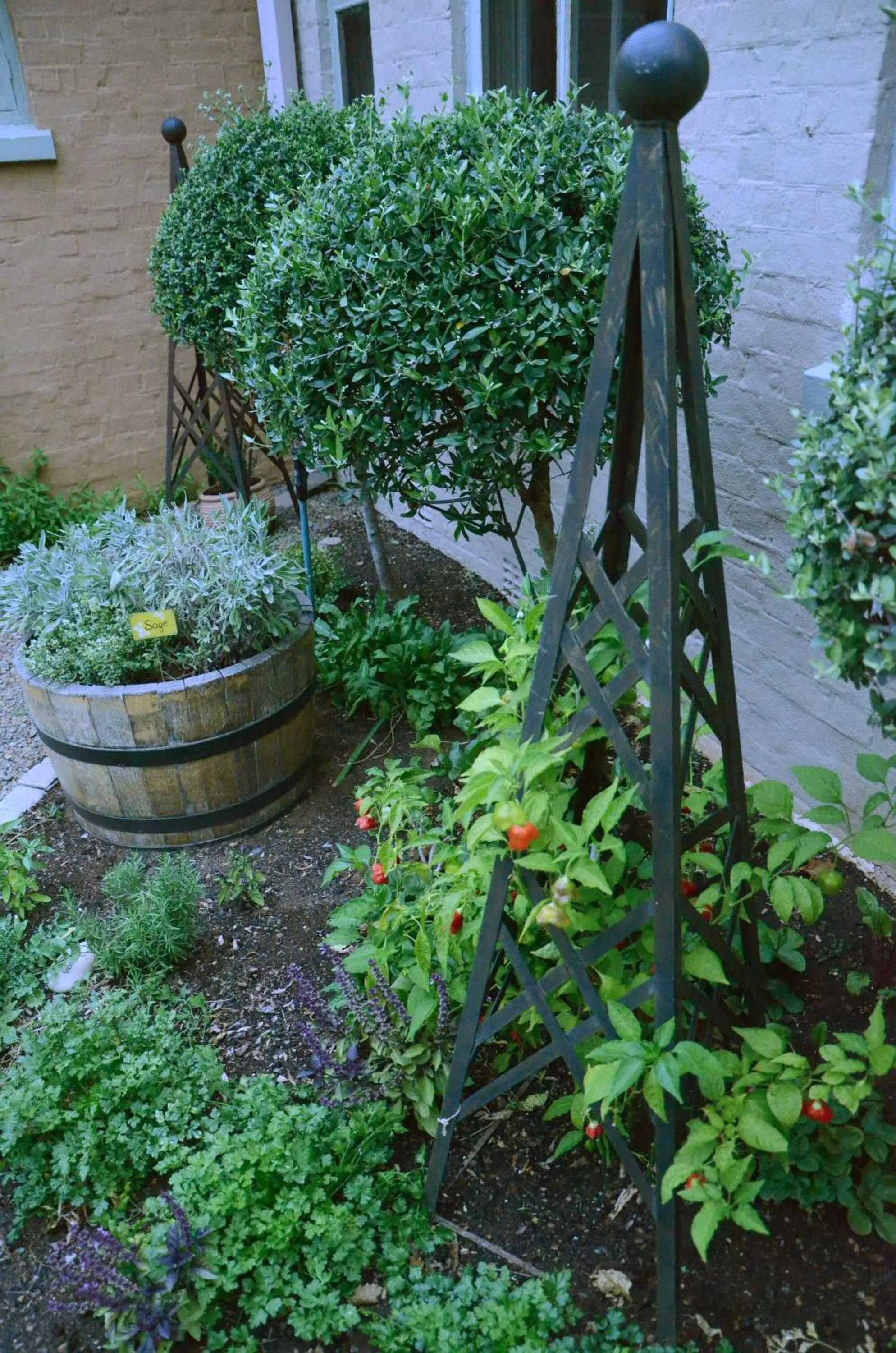 Garden in Oleander Guest House