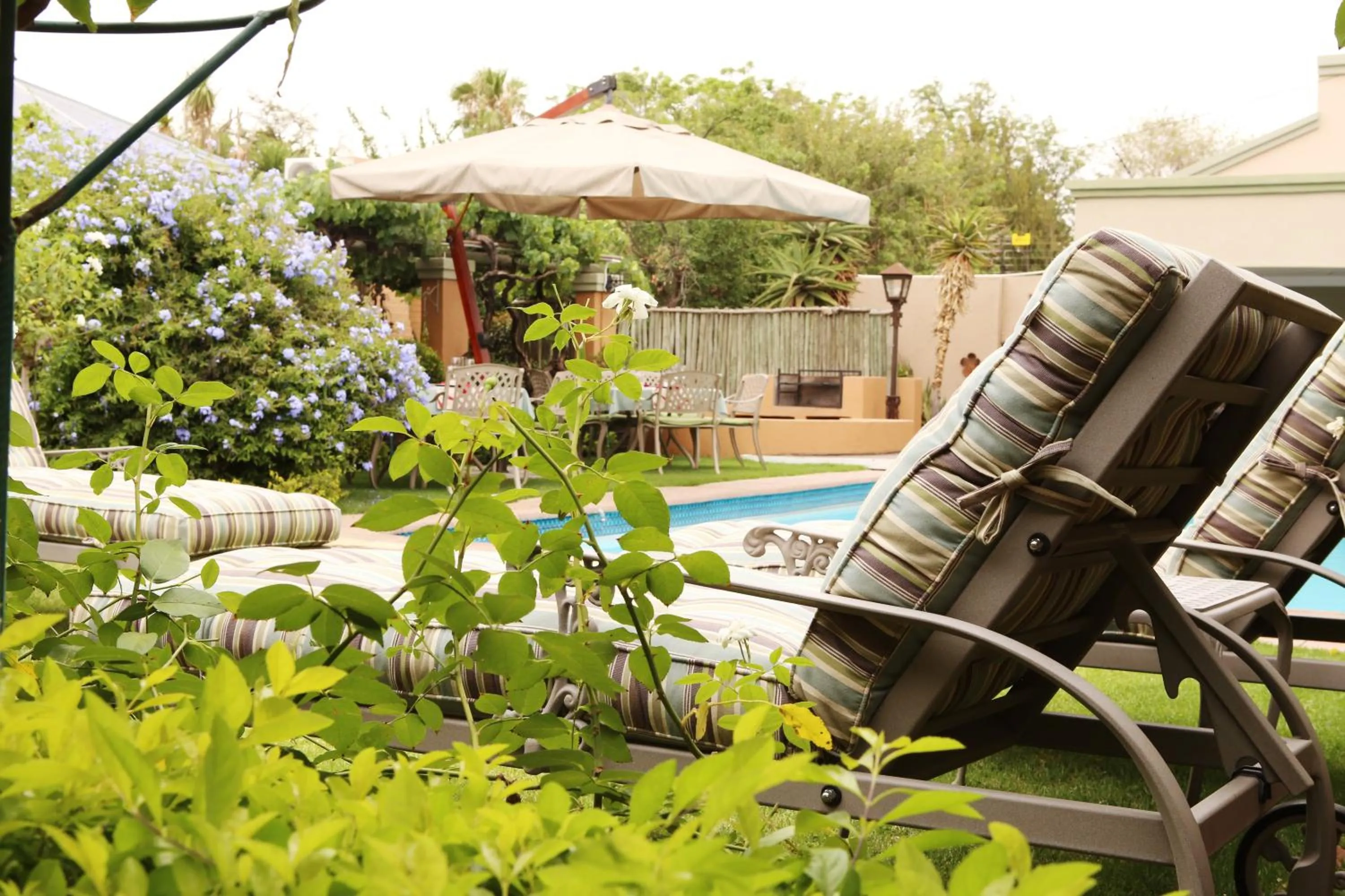 Garden in Oleander Guest House