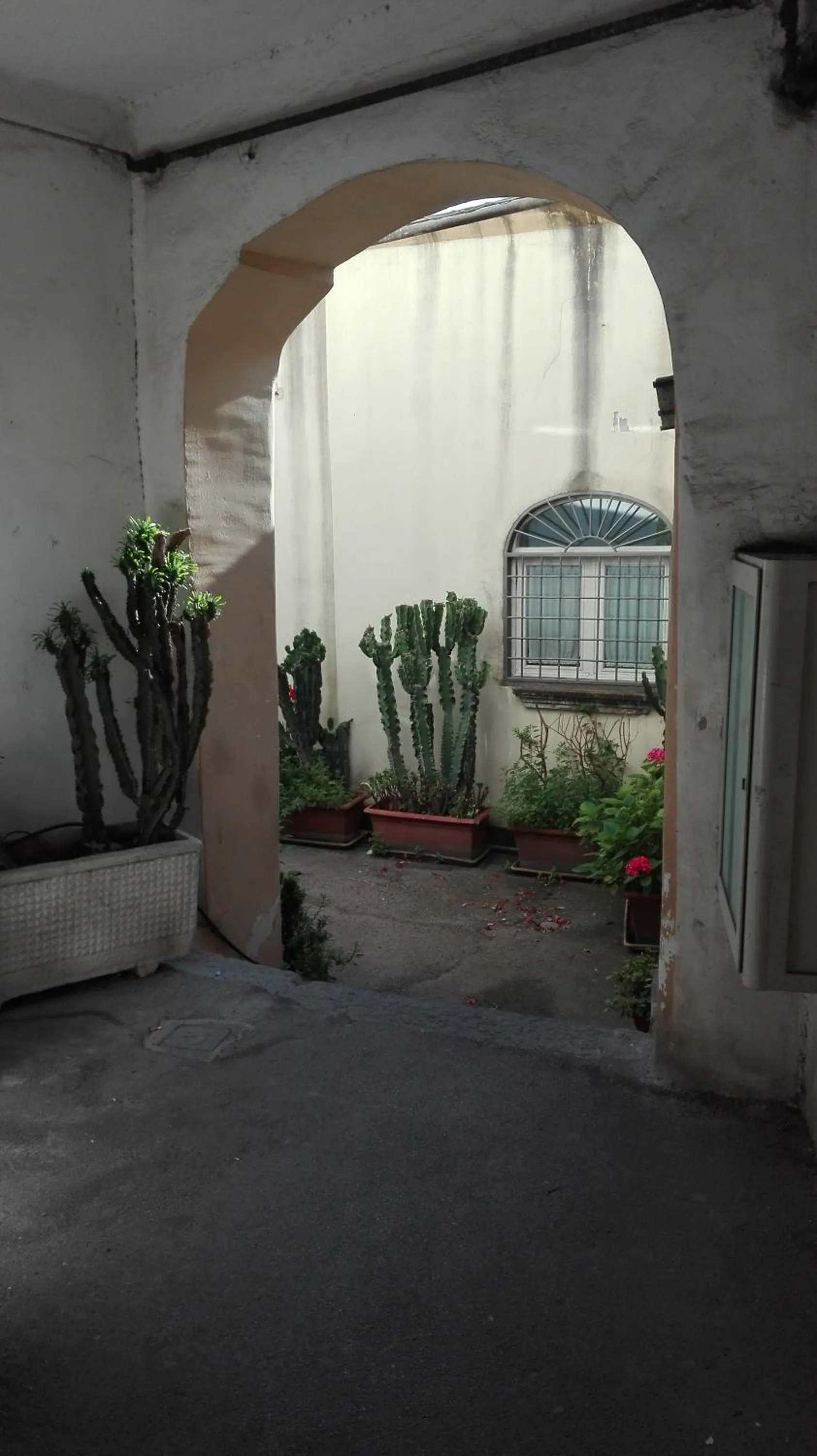 Facade/entrance in Buonanotte & Buongiorno Guesthouse