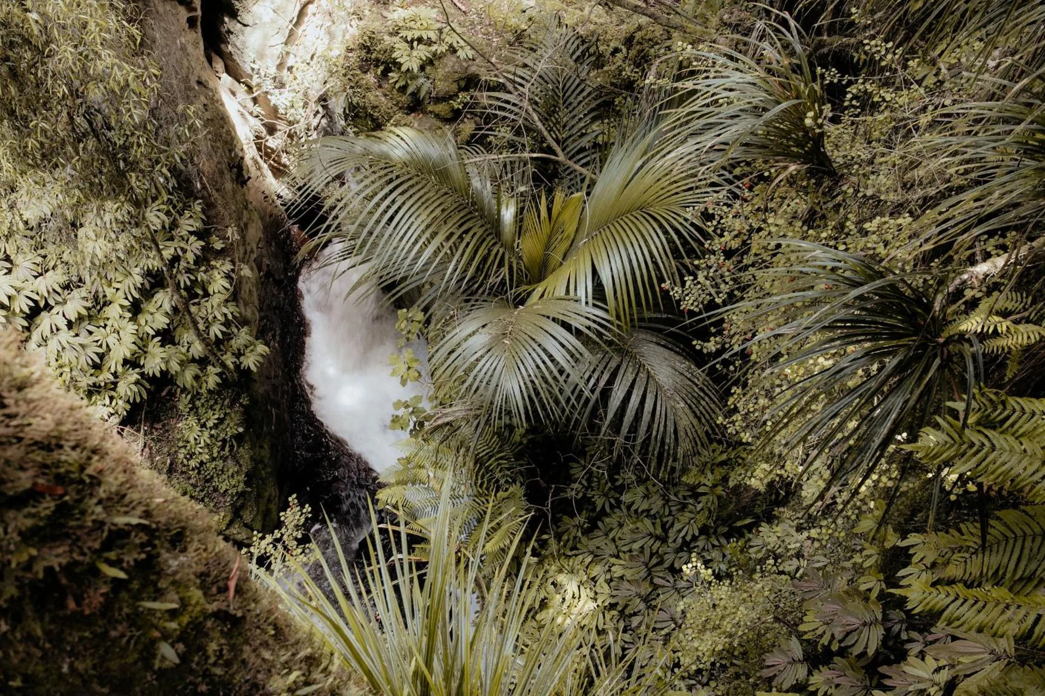 Nearby landmark in Waitomo Village Chalets home of Kiwipaka